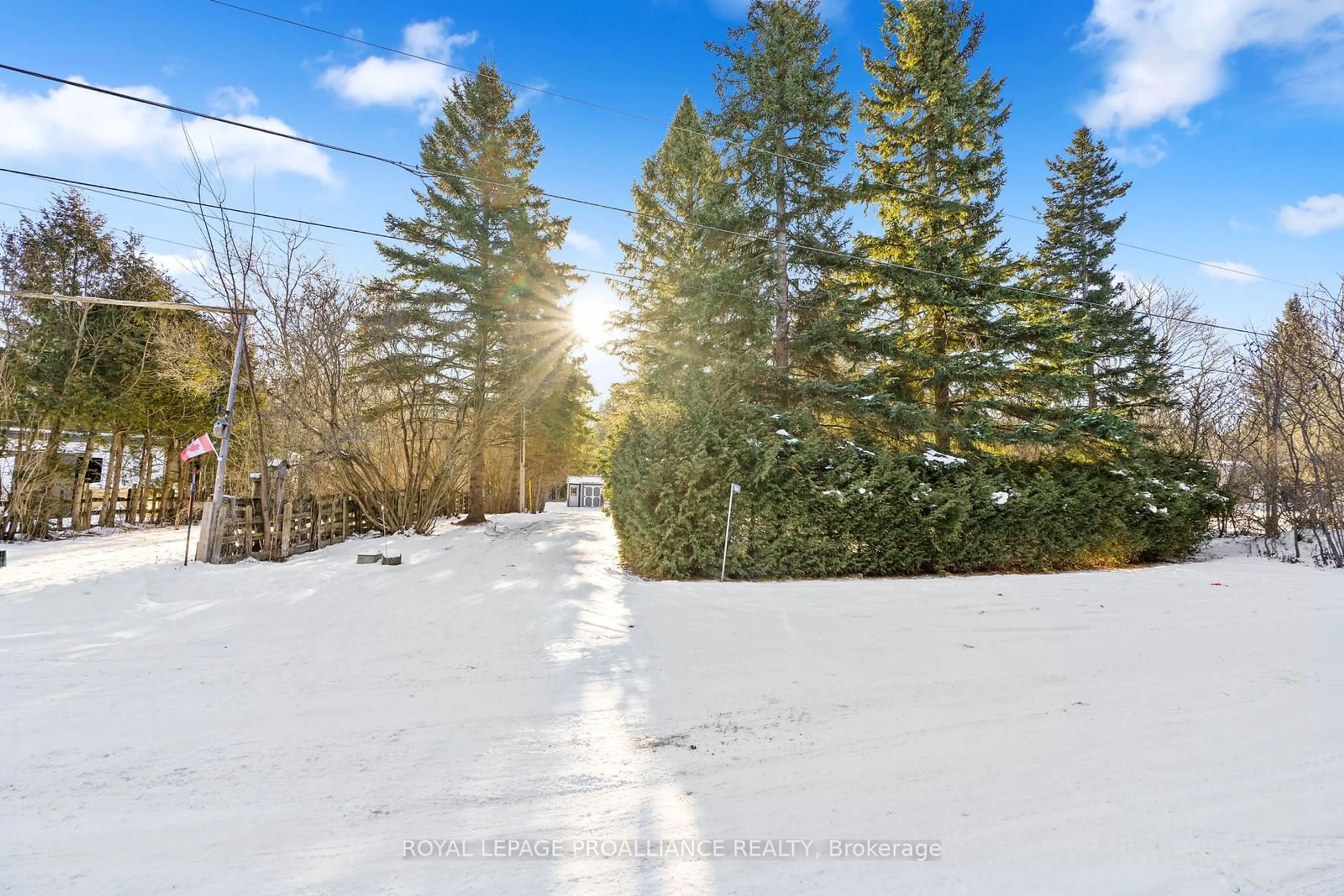 A pic from outside/outdoor area/front of a property/back of a property/a pic from drone, forest/trees view for 86 Rolling Banks Rd #16A, Alnwick/Haldimand Ontario K0K 2X0