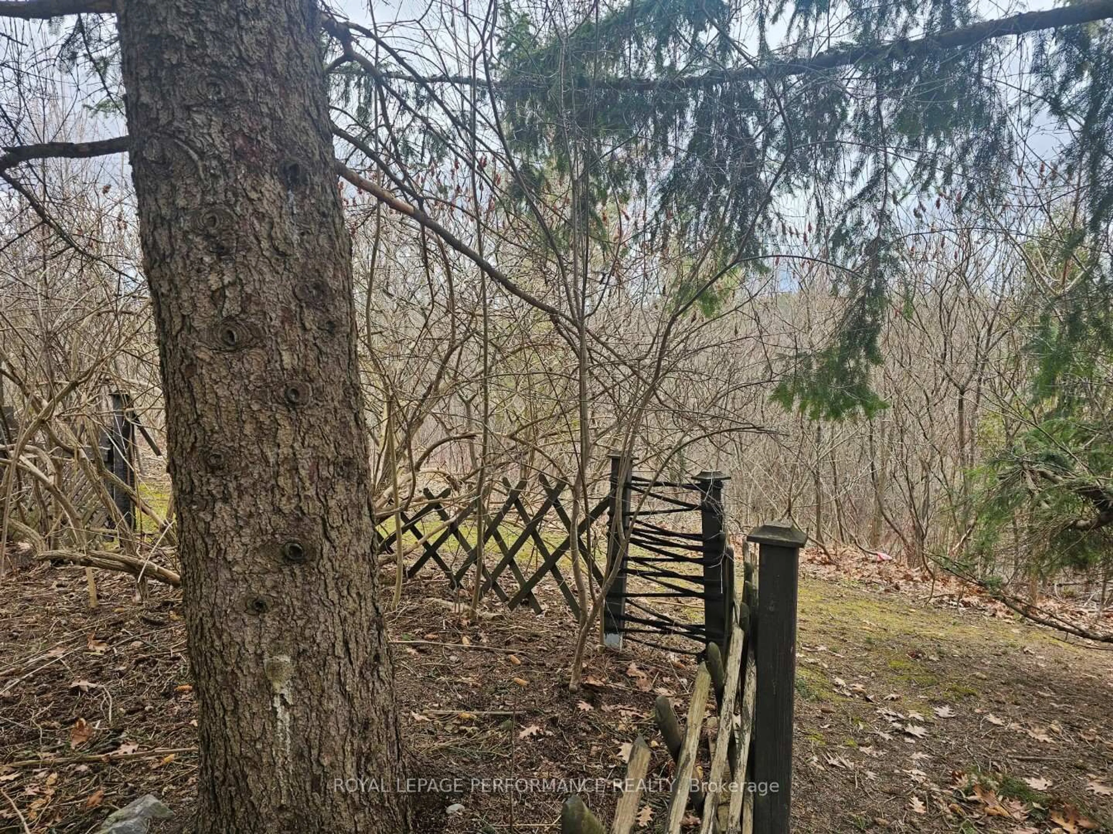 A pic from outside/outdoor area/front of a property/back of a property/a pic from drone, forest/trees view for 1155 Millwood Crt, Orleans Ontario K1C 3E9