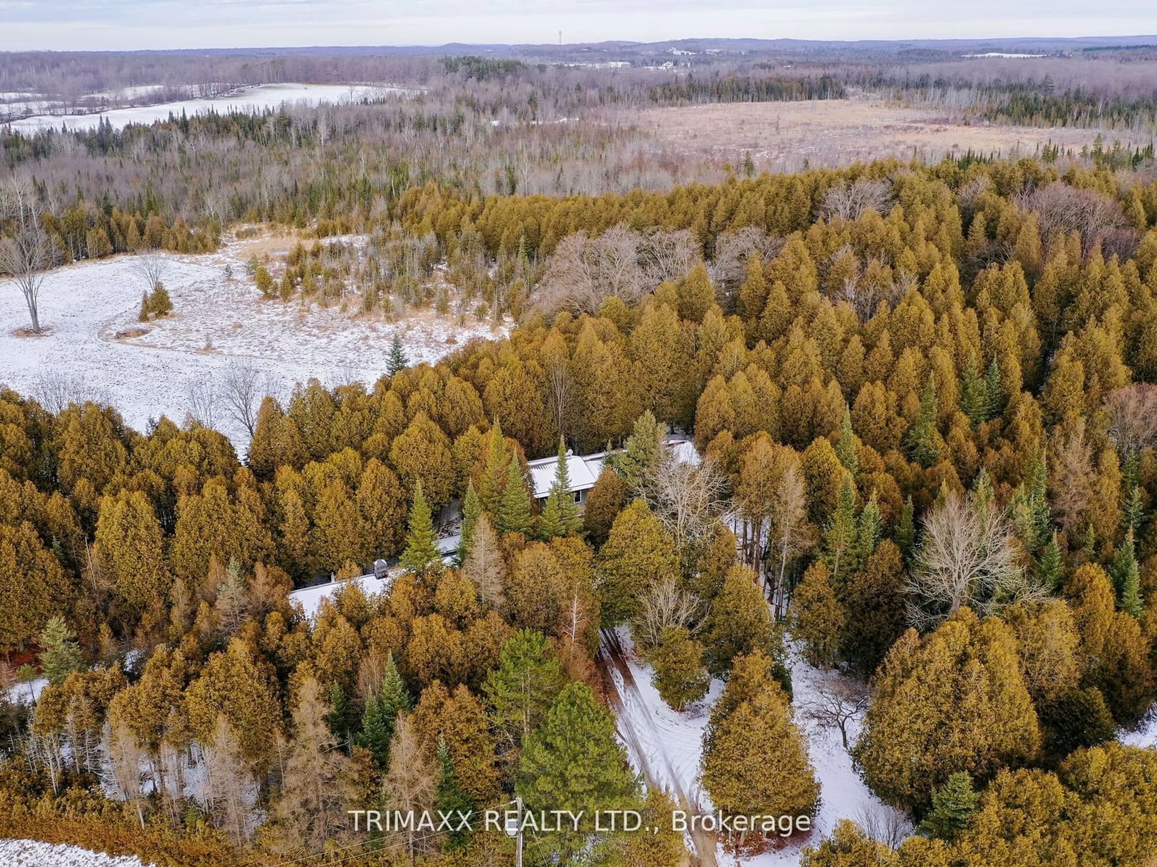 A pic from outside/outdoor area/front of a property/back of a property/a pic from drone, forest/trees view for 776587 Highway 10, Chatsworth Ontario N0H 1R0