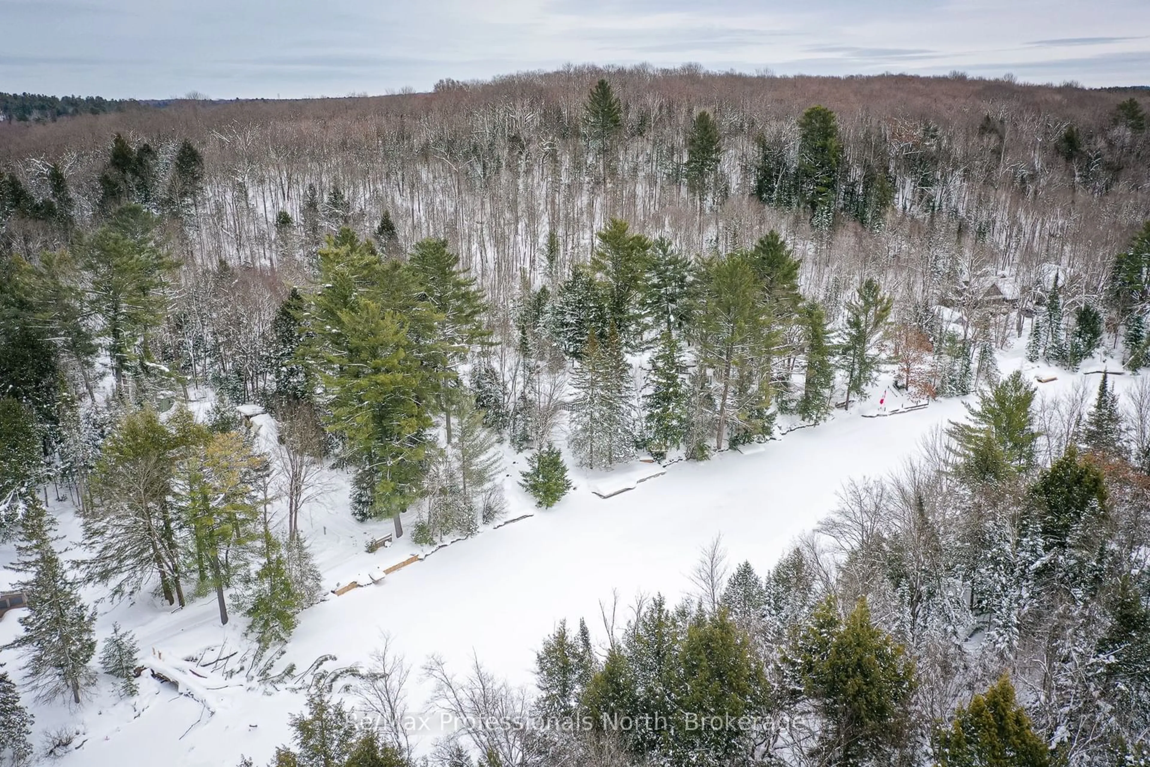 A pic from outside/outdoor area/front of a property/back of a property/a pic from drone, forest/trees view for 1019 Springdale Shores PVT, Bracebridge Ontario P1L 1W9