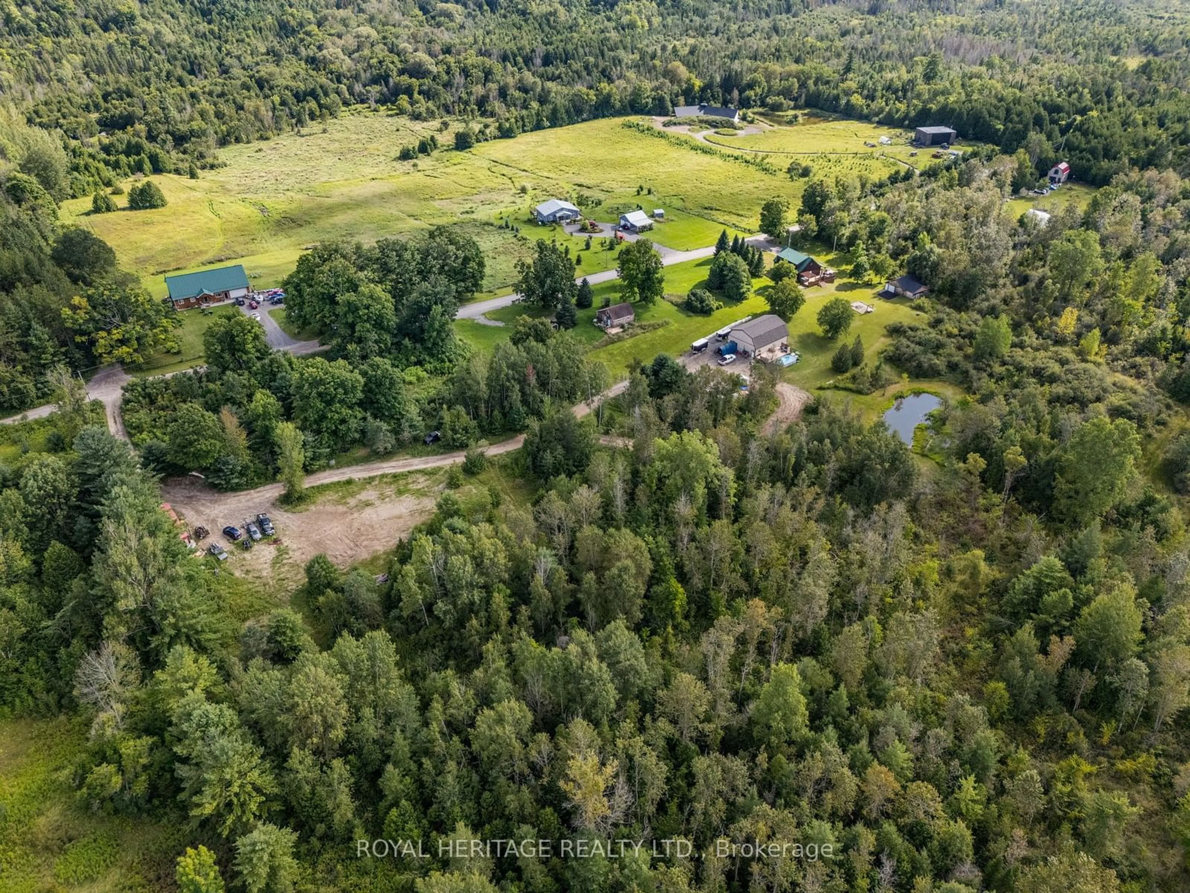 A pic from outside/outdoor area/front of a property/back of a property/a pic from drone, forest/trees view for 552 Mitchell Rd, Cramahe Ontario K0K 3K0