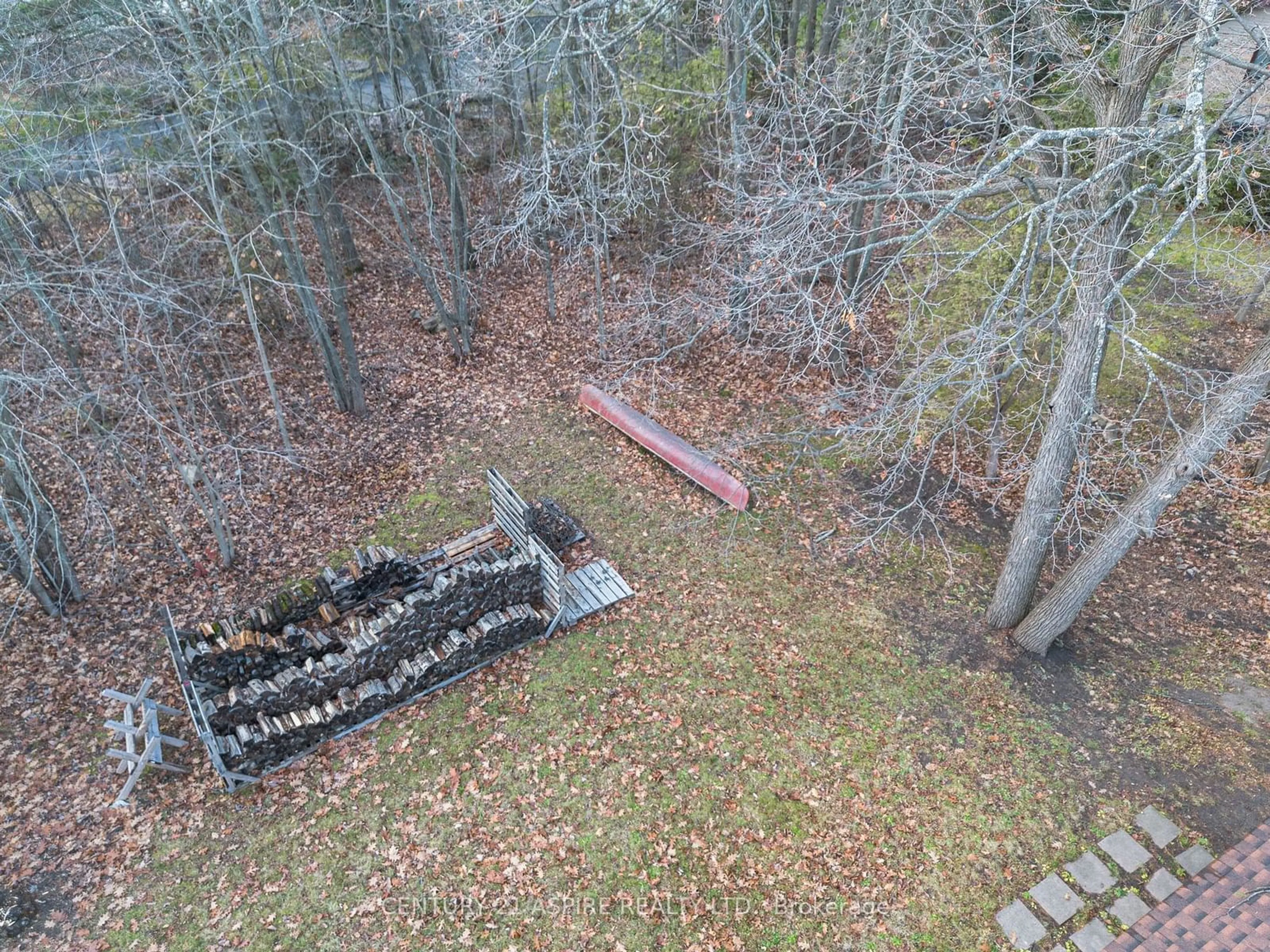 A pic from outside/outdoor area/front of a property/back of a property/a pic from drone, forest/trees view for 58 Cotnam St, Laurentian Valley Ontario K8A 6W2