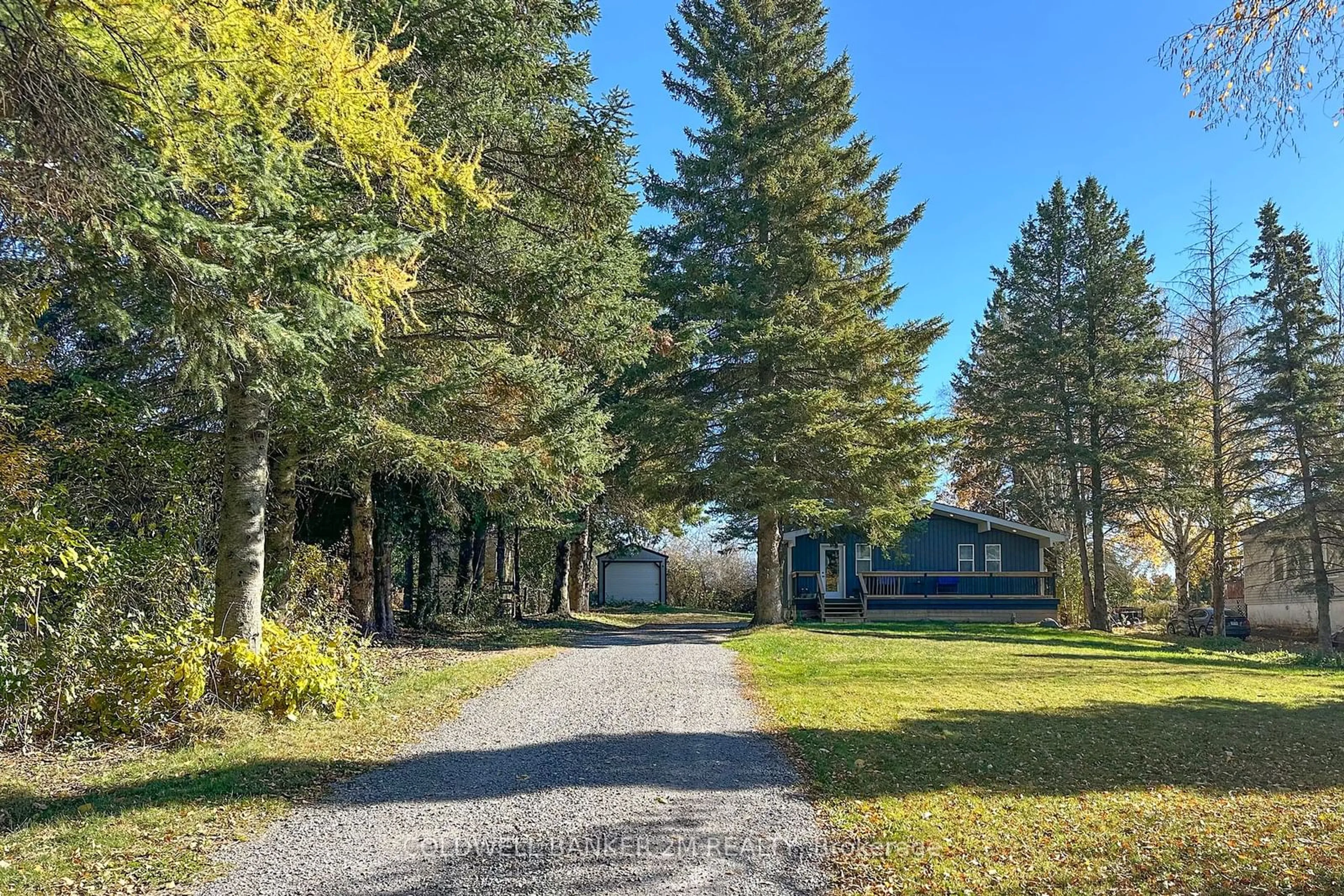 A pic from outside/outdoor area/front of a property/back of a property/a pic from drone, forest/trees view for 122 McGill Dr, Kawartha Lakes Ontario L0B 1K0