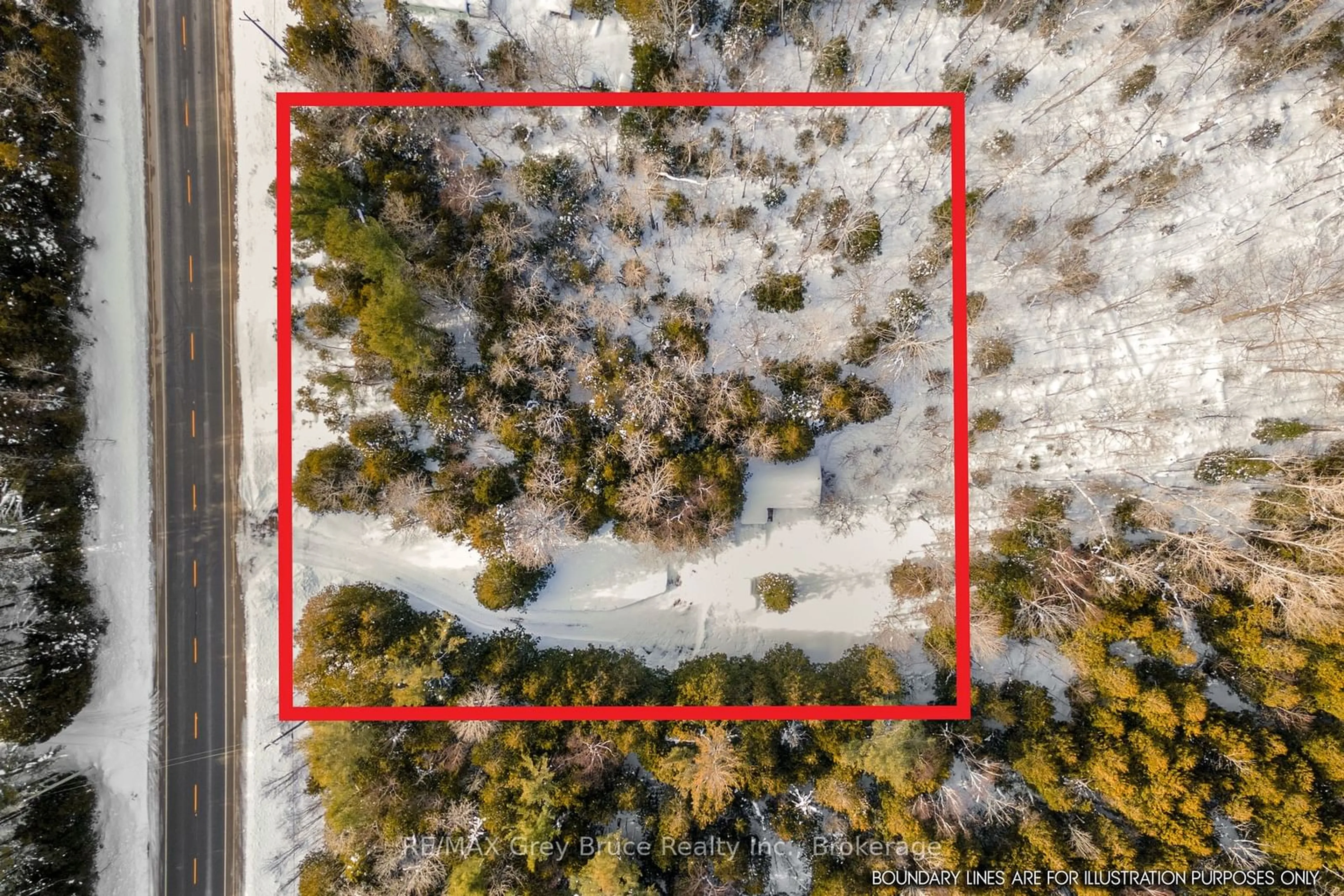 A pic from outside/outdoor area/front of a property/back of a property/a pic from drone, forest/trees view for 6726 Highway 6, Northern Bruce Peninsula Ontario N0H 2R0