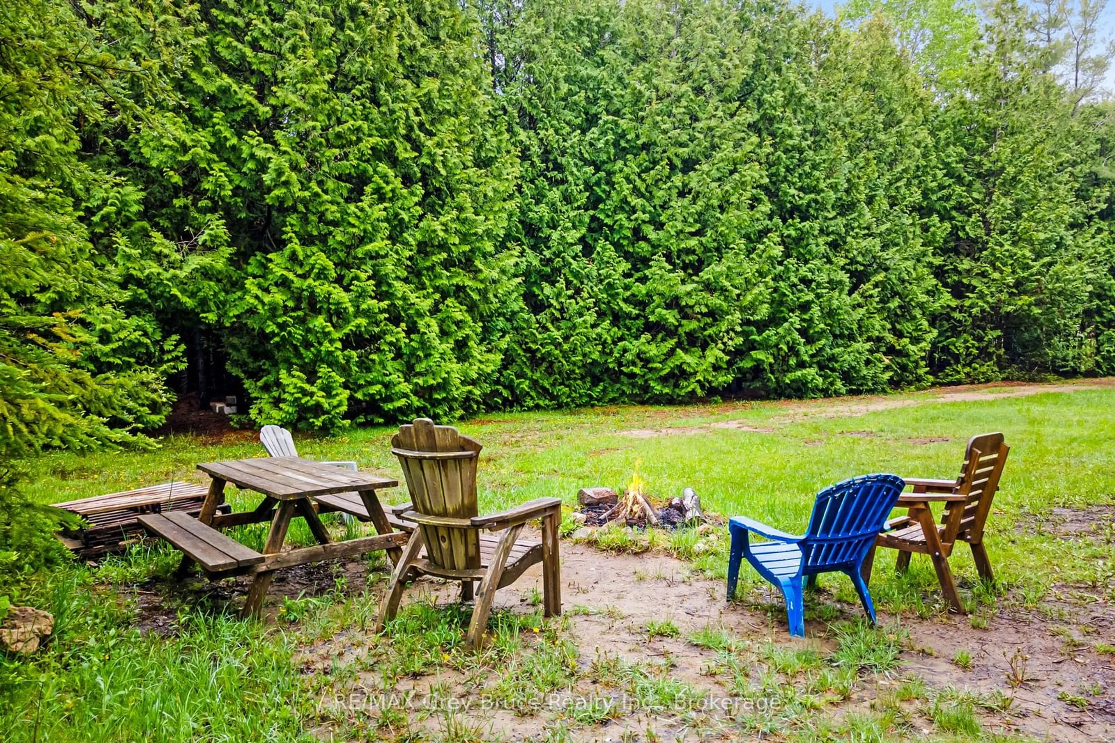 Patio, forest/trees view for 6726 Highway 6, Northern Bruce Peninsula Ontario N0H 2R0