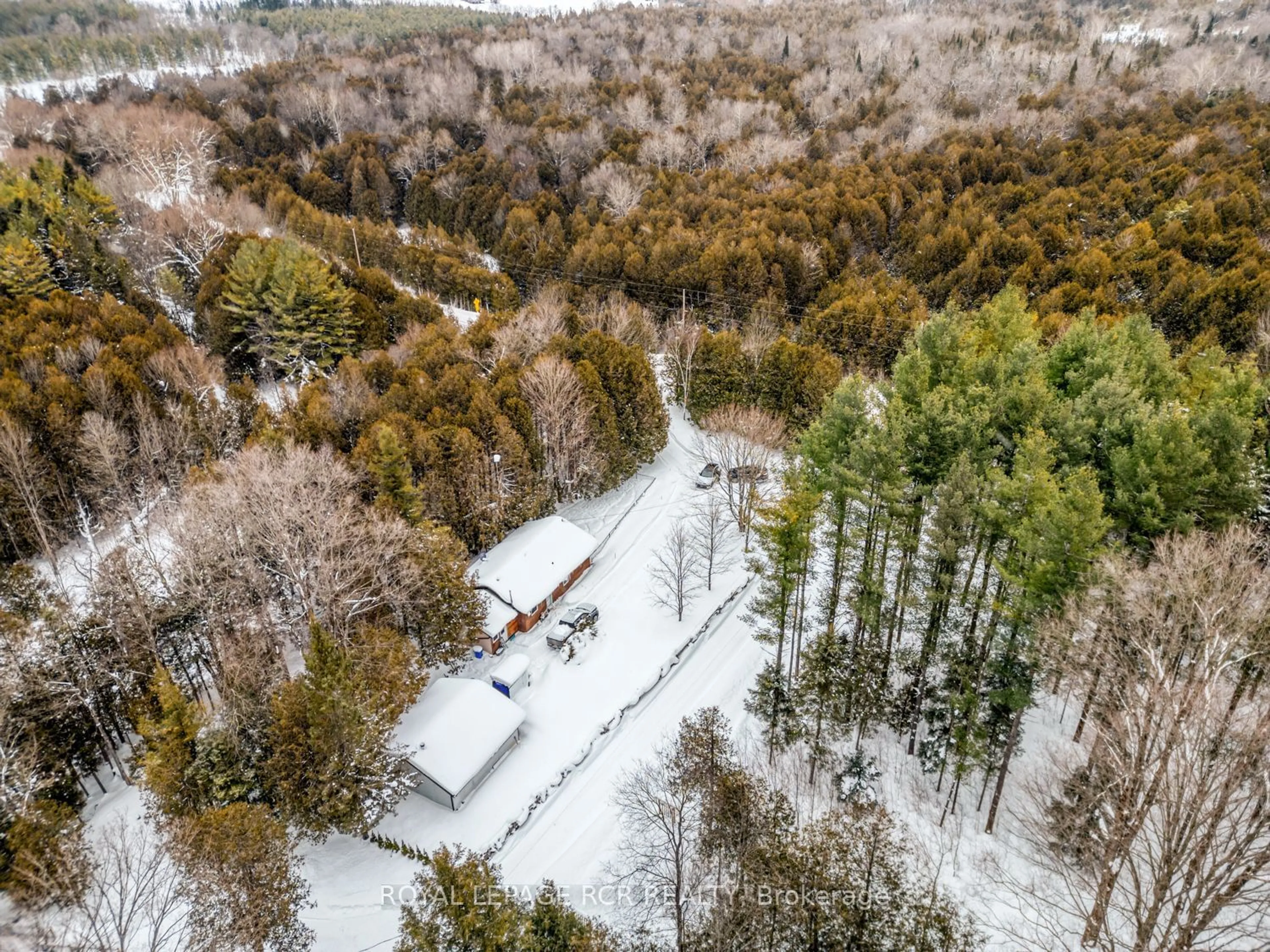 A pic from outside/outdoor area/front of a property/back of a property/a pic from drone, forest/trees view for 493824 Baptist Church Rd, West Grey Ontario N0C 1K0