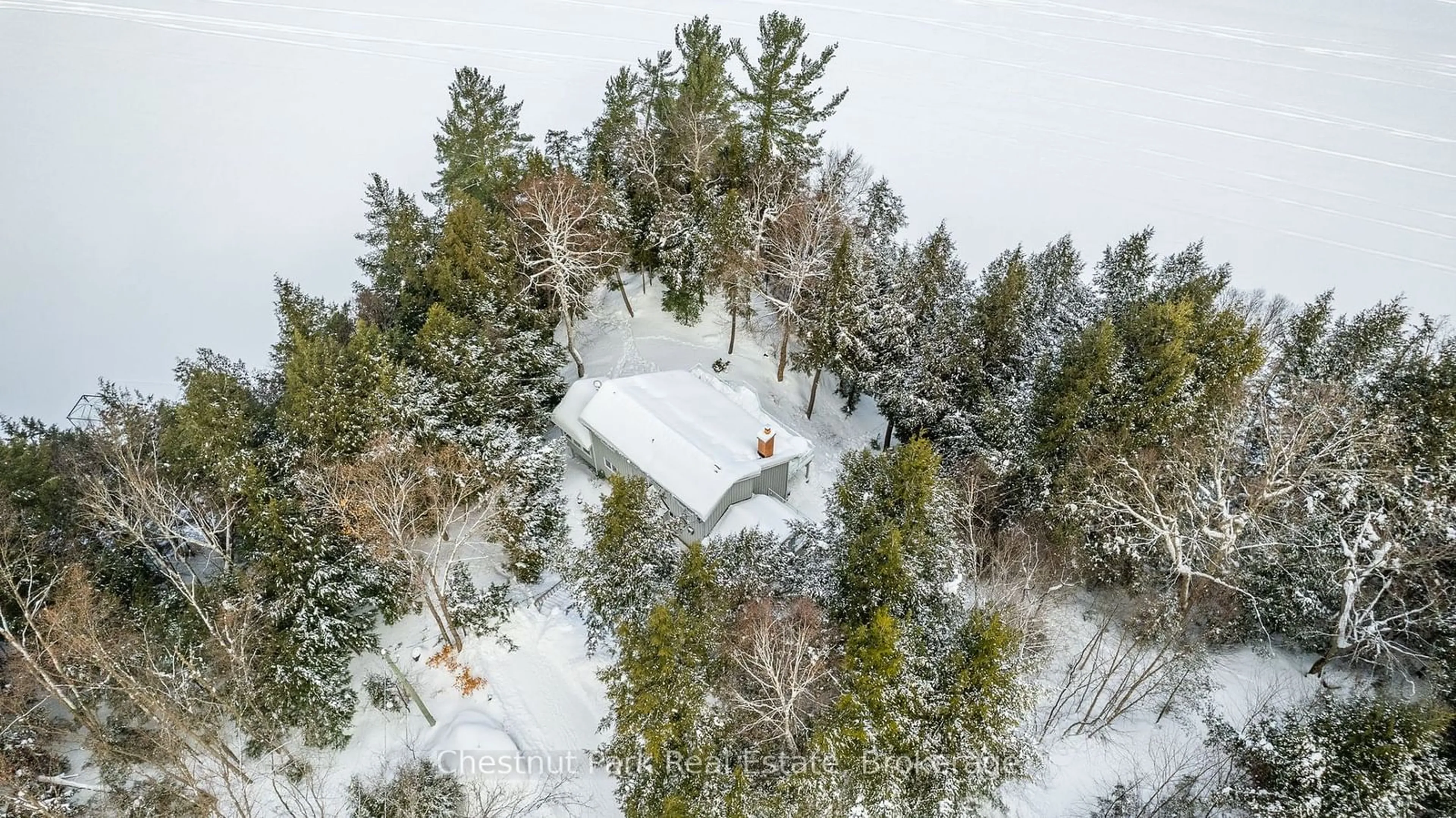 A pic from outside/outdoor area/front of a property/back of a property/a pic from drone, forest/trees view for 1003 Arnott Lane, Dysart et al Ontario K0M 1S0