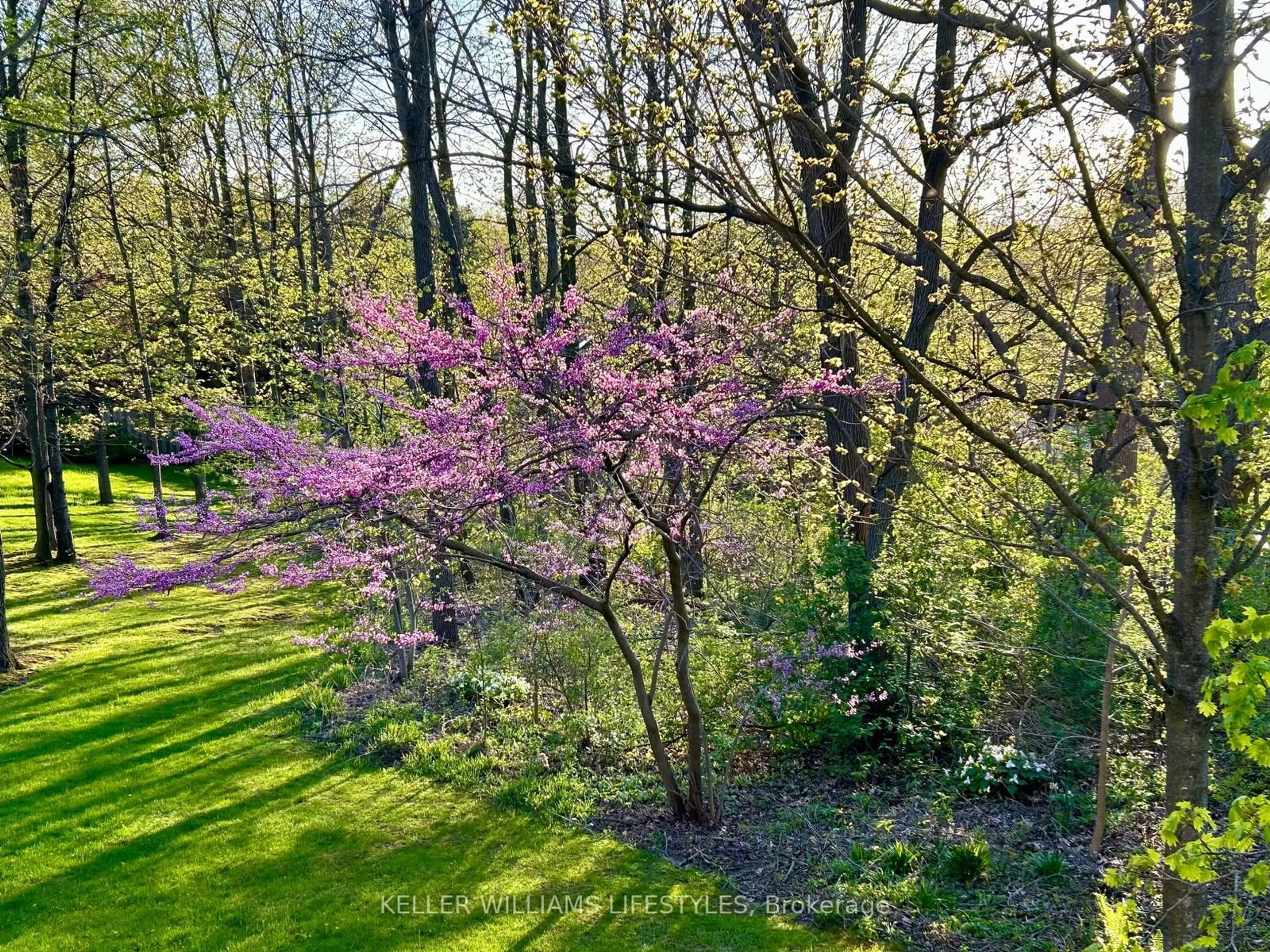 A pic from outside/outdoor area/front of a property/back of a property/a pic from drone, forest/trees view for 66 Quinella Pl, London Ontario N6K 4H2