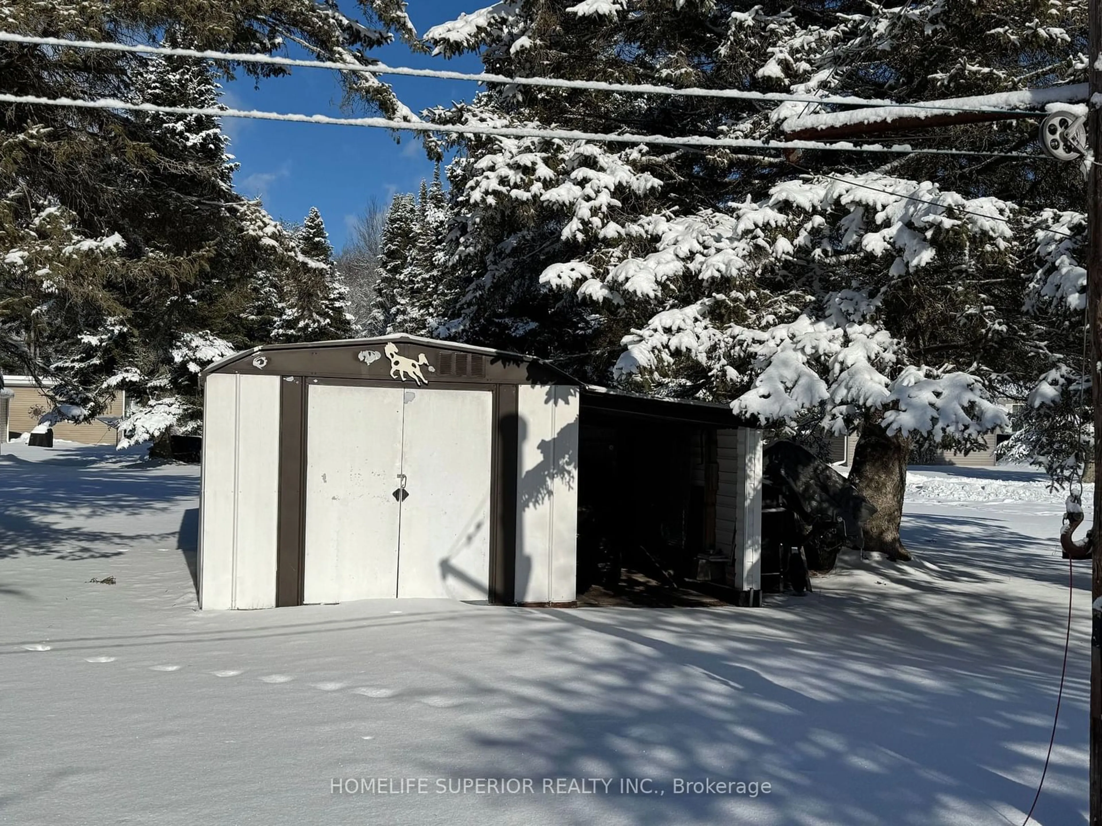 Shed for 37 Methuen St, Havelock-Belmont-Methuen Ontario K0L 1Z0