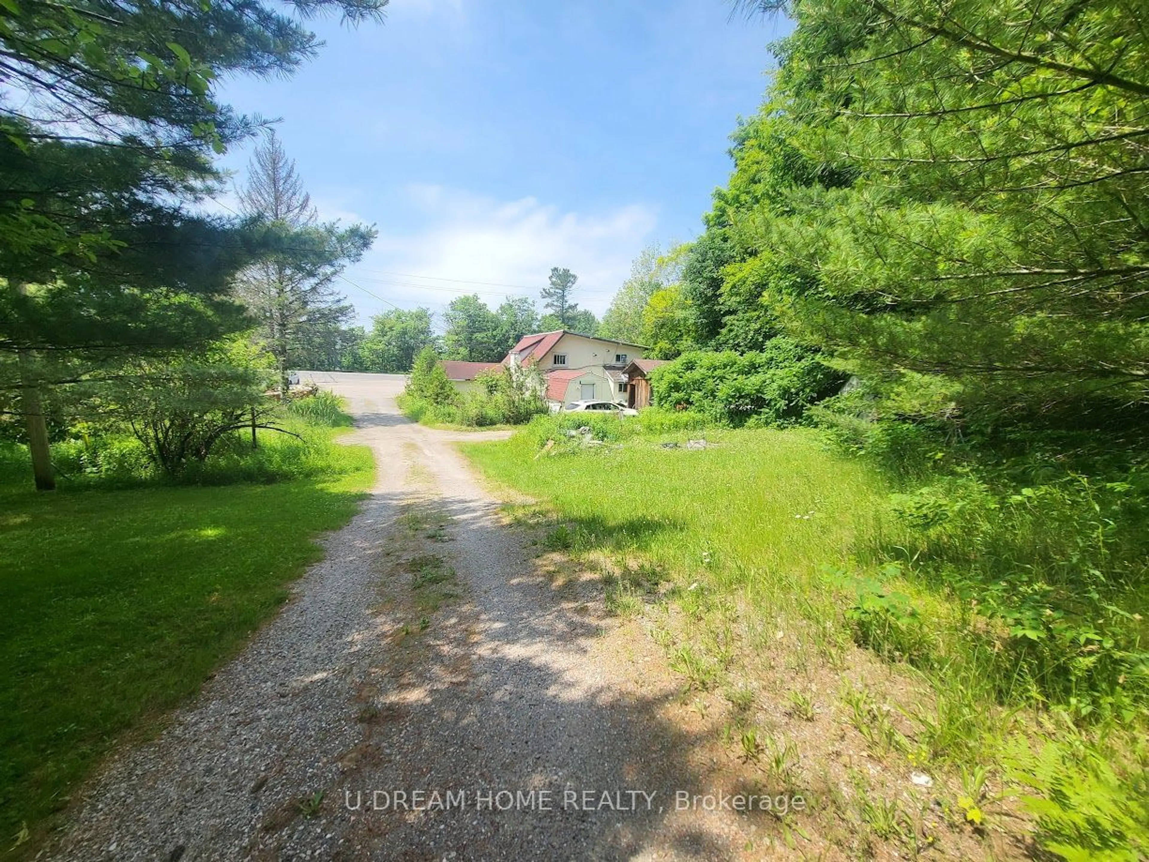 A pic from outside/outdoor area/front of a property/back of a property/a pic from drone, forest/trees view for 2874 Muskoka 169 Rd, Muskoka Lakes Ontario P0C 1A0