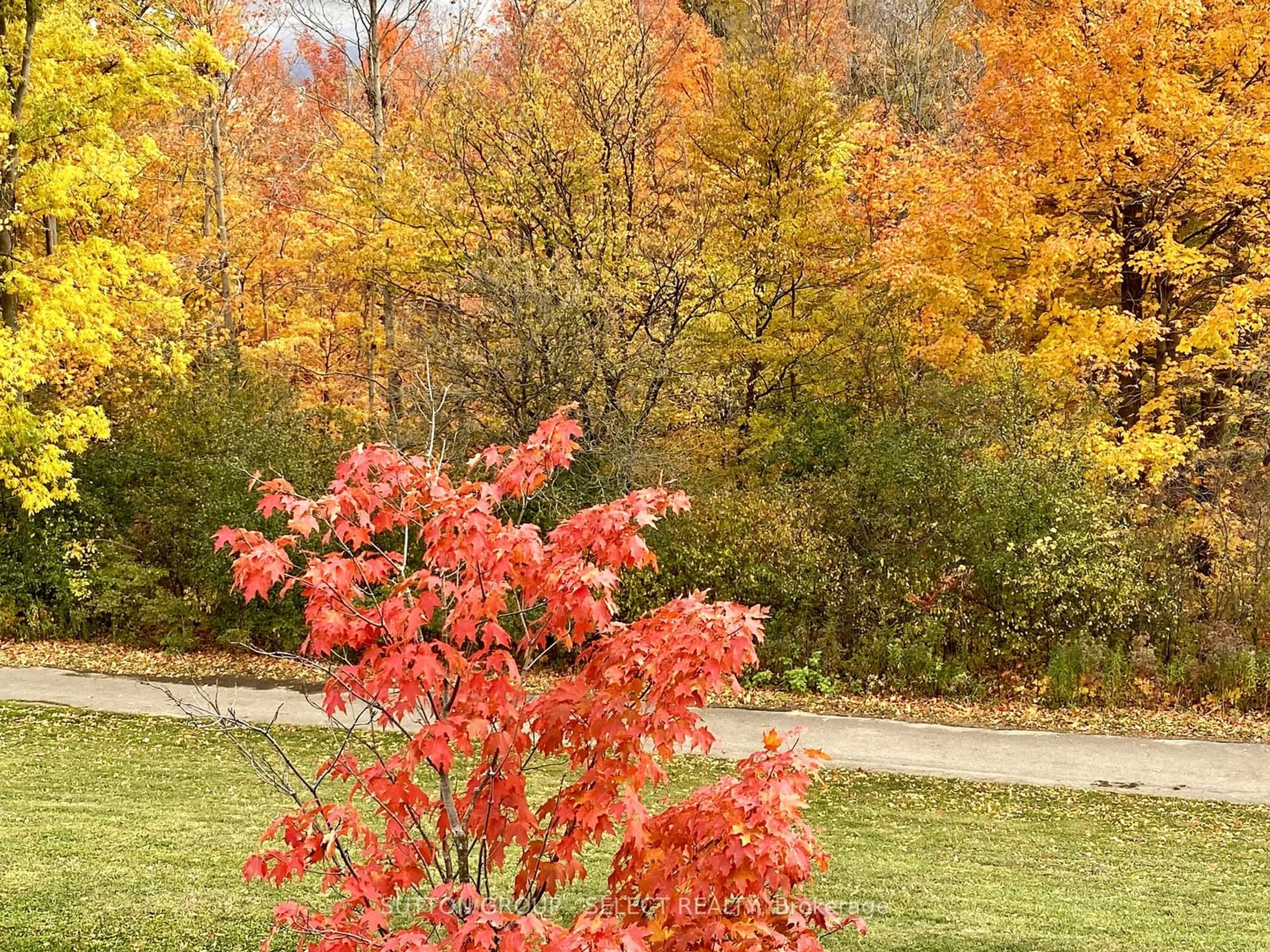 Patio, forest/trees view for 2235 Blackwater Rd #7, London Ontario N5X 0L8