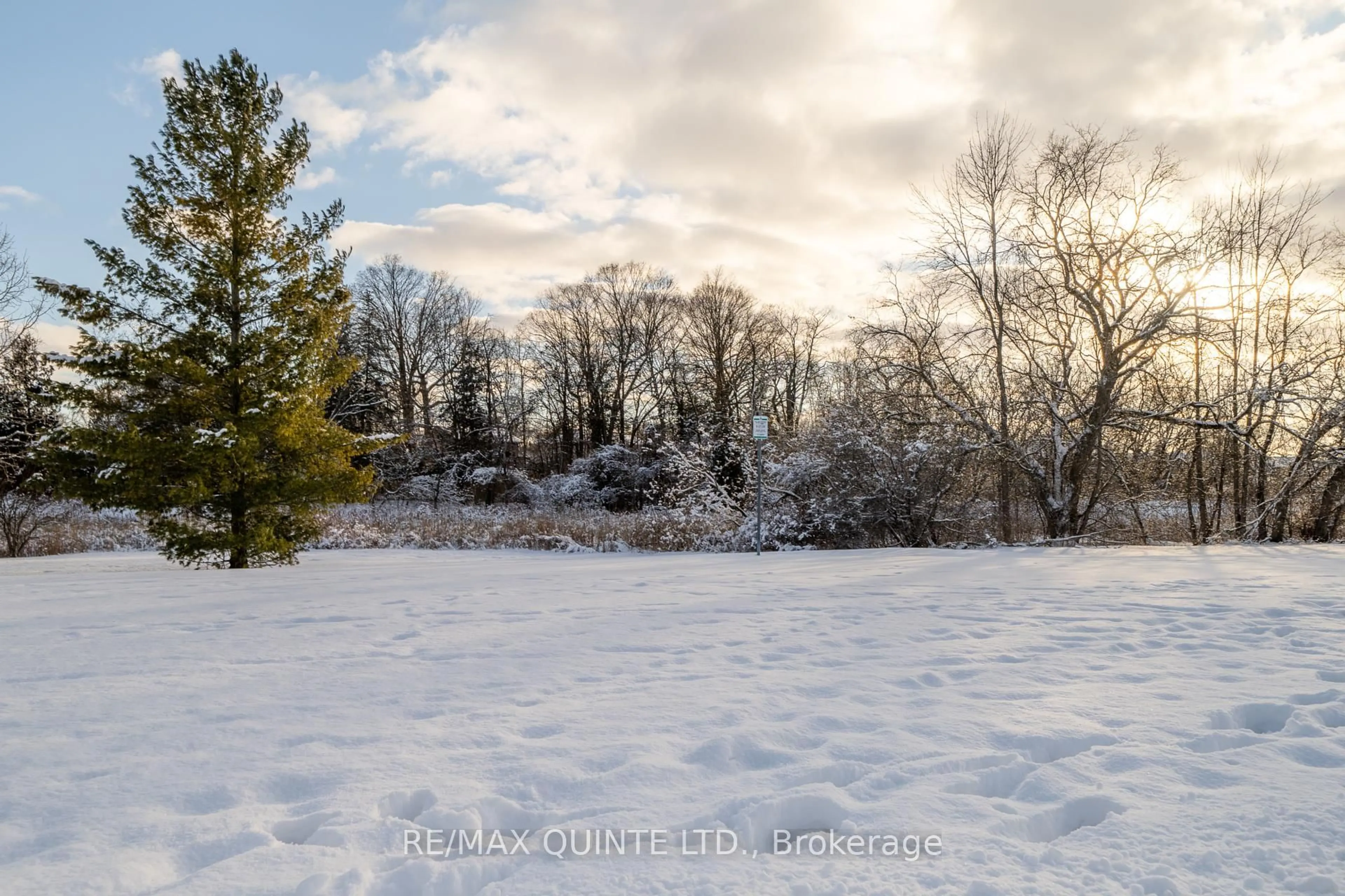 A pic from outside/outdoor area/front of a property/back of a property/a pic from drone, forest/trees view for 20 Oak Ridge Blvd, Belleville Ontario K8N 5W1