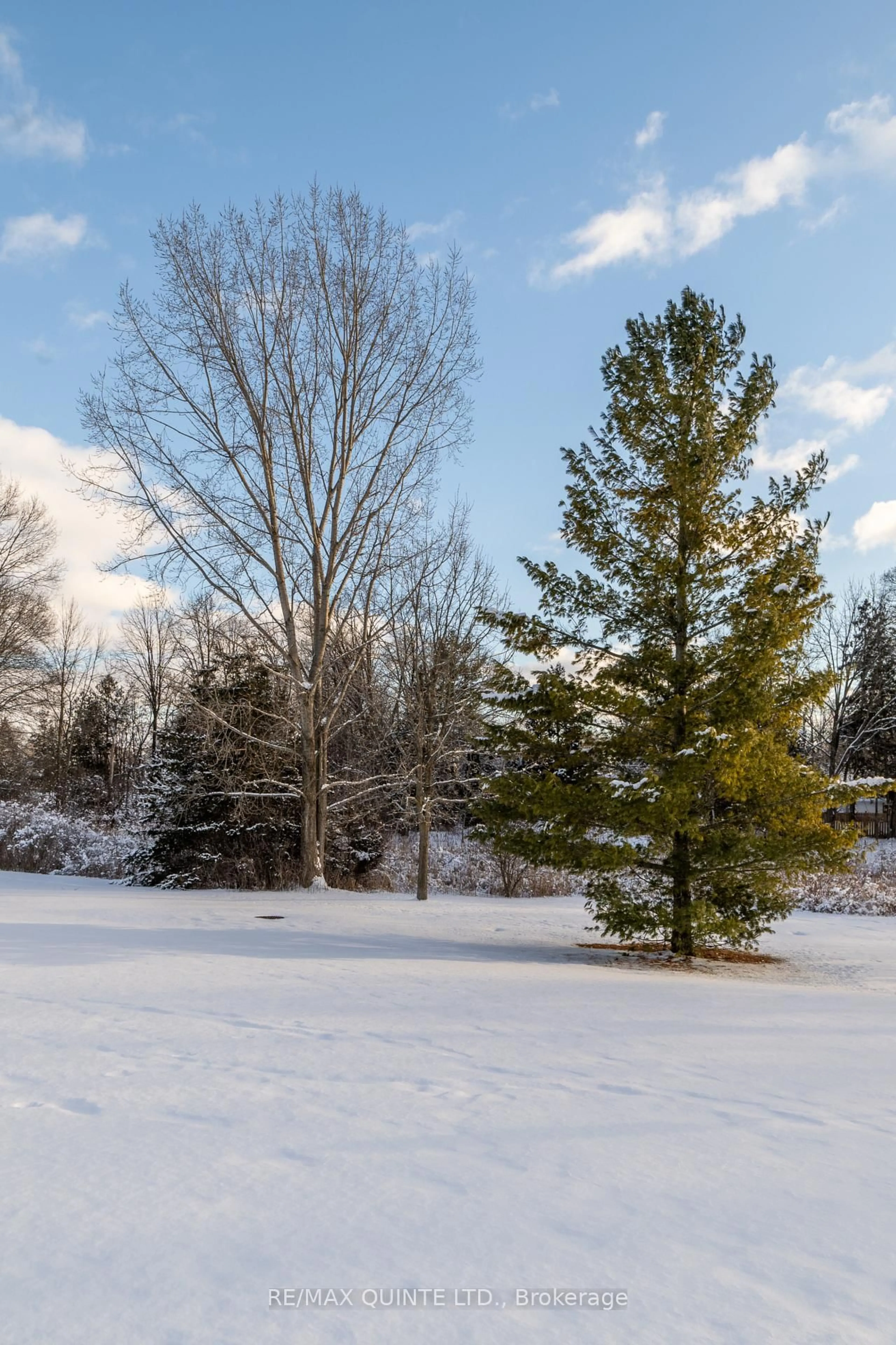 A pic from outside/outdoor area/front of a property/back of a property/a pic from drone, forest/trees view for 20 Oak Ridge Blvd, Belleville Ontario K8N 5W1