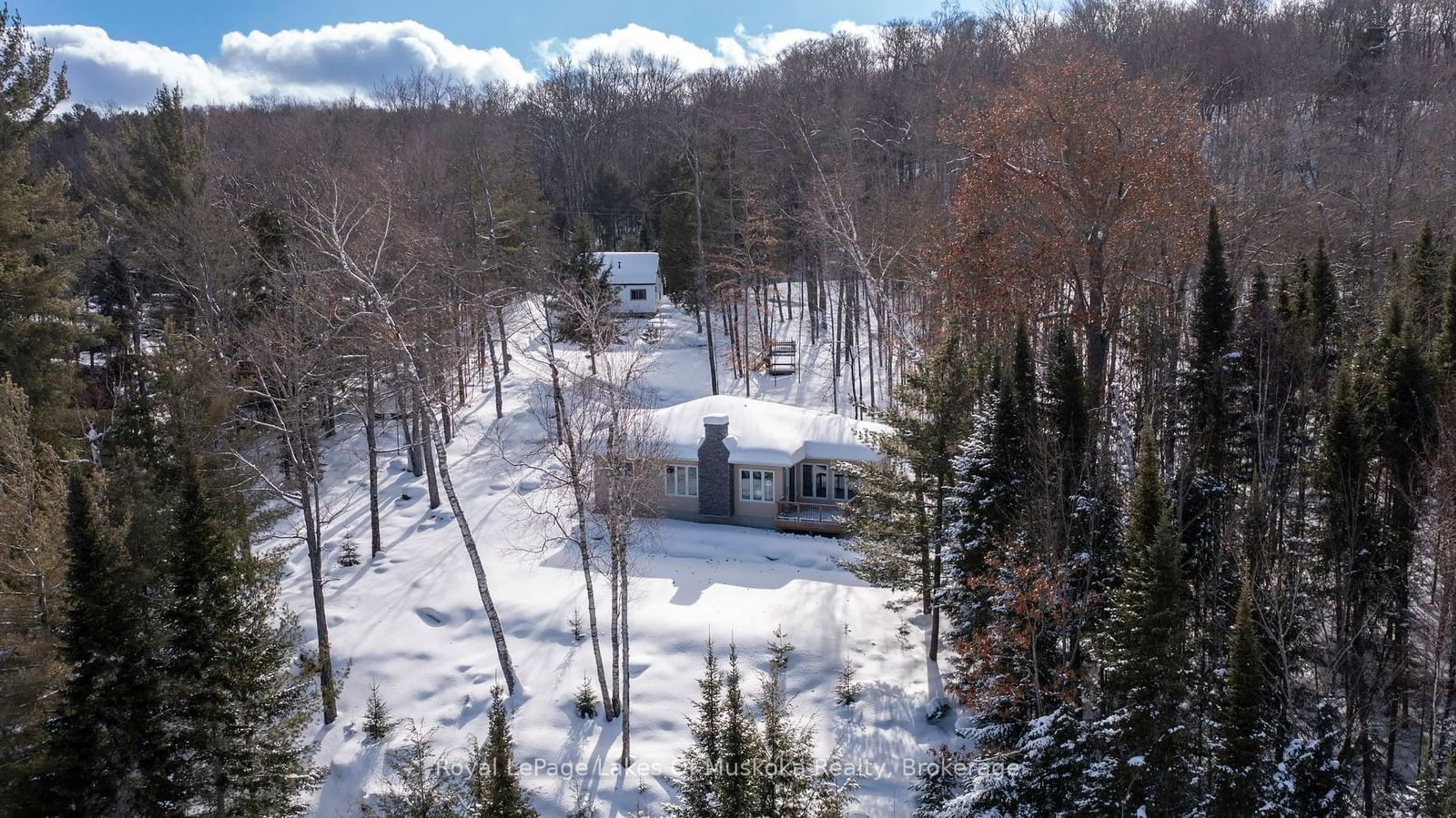 A pic from outside/outdoor area/front of a property/back of a property/a pic from drone, forest/trees view for 4441 Muskoka Rd 117 Rd, Lake of Bays Ontario P0B 1A0