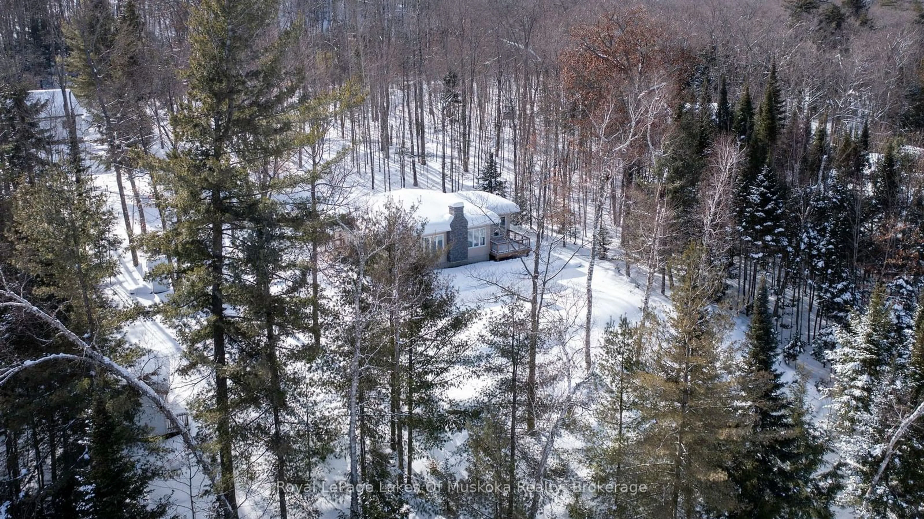 A pic from outside/outdoor area/front of a property/back of a property/a pic from drone, forest/trees view for 4441 Muskoka Rd 117 Rd, Lake of Bays Ontario P0B 1A0