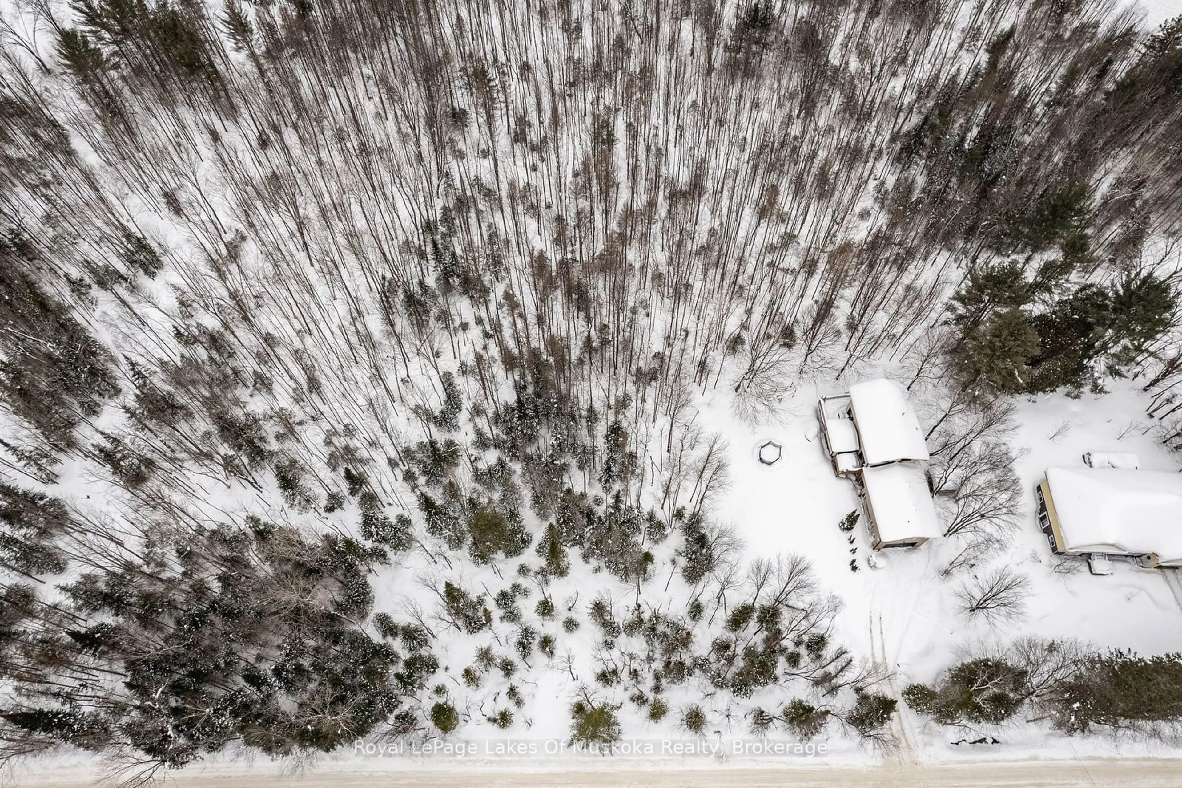 A pic from outside/outdoor area/front of a property/back of a property/a pic from drone, forest/trees view for 1034 Uffington Rd, Bracebridge Ontario P1L 1X1