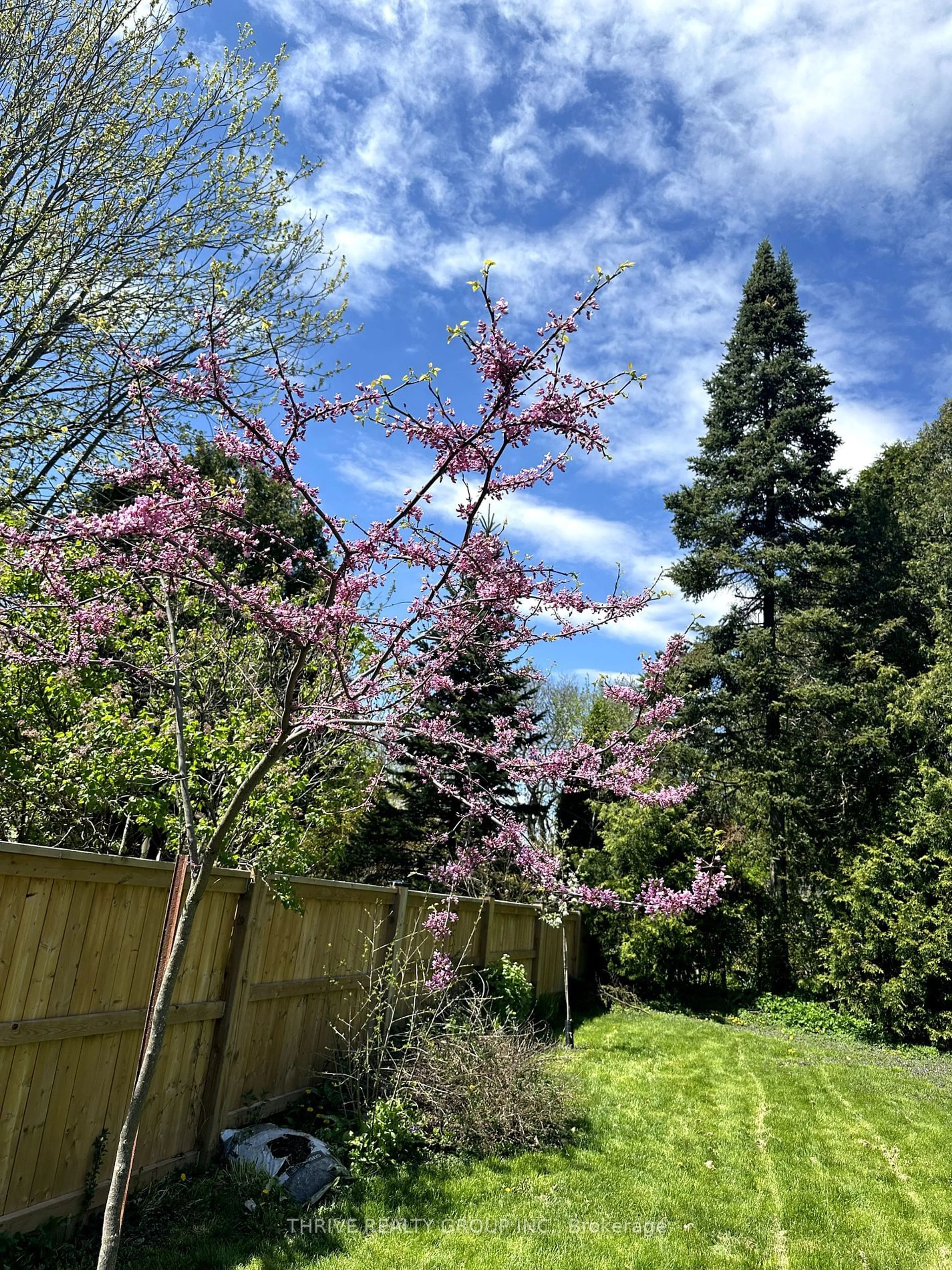 A pic from outside/outdoor area/front of a property/back of a property/a pic from drone, forest/trees view for 560 Grosvenor St, London Ontario N5Y 3T1