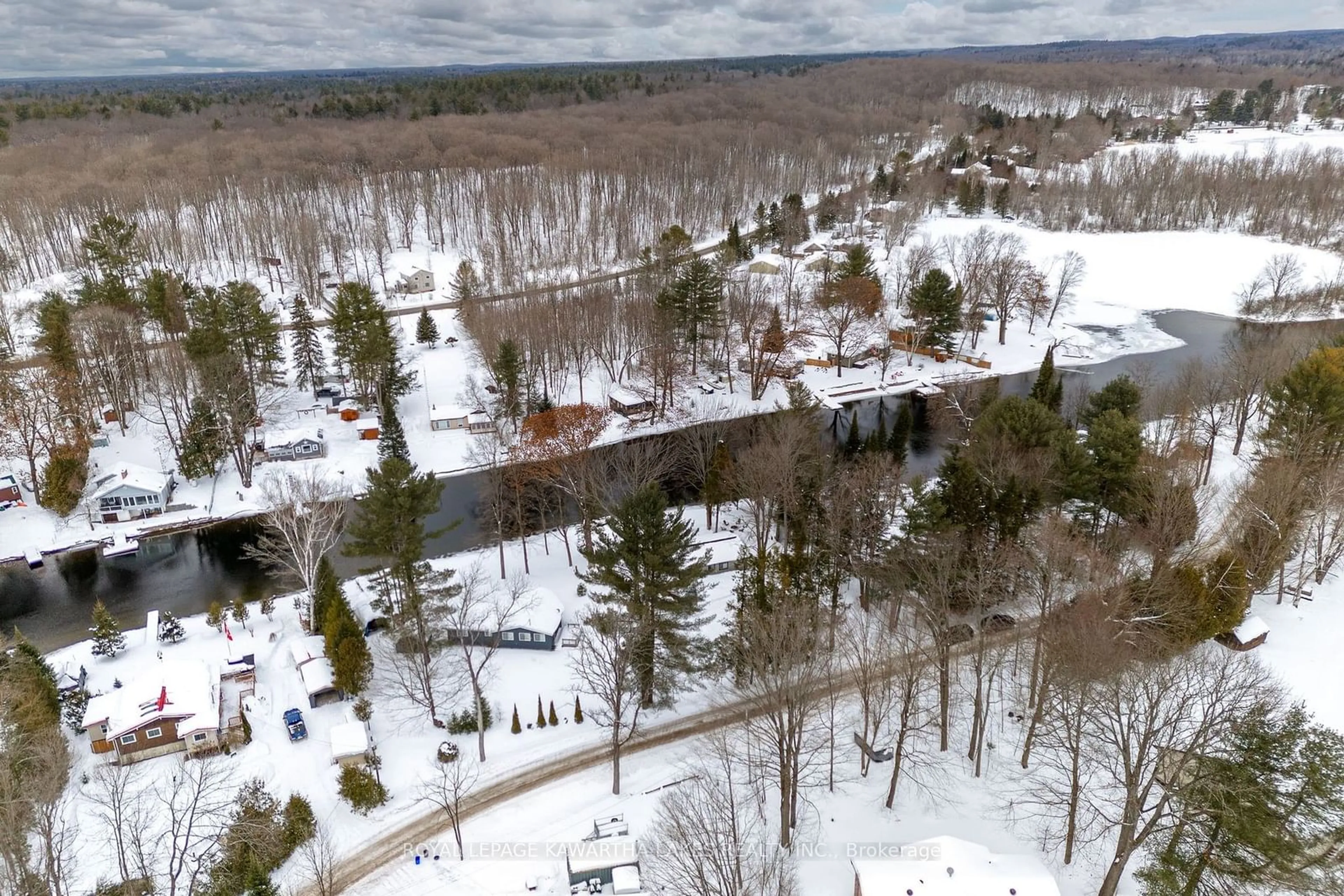 A pic from outside/outdoor area/front of a property/back of a property/a pic from drone, forest/trees view for 11 Little Bay Dr, Kawartha Lakes Ontario K0M 2L0