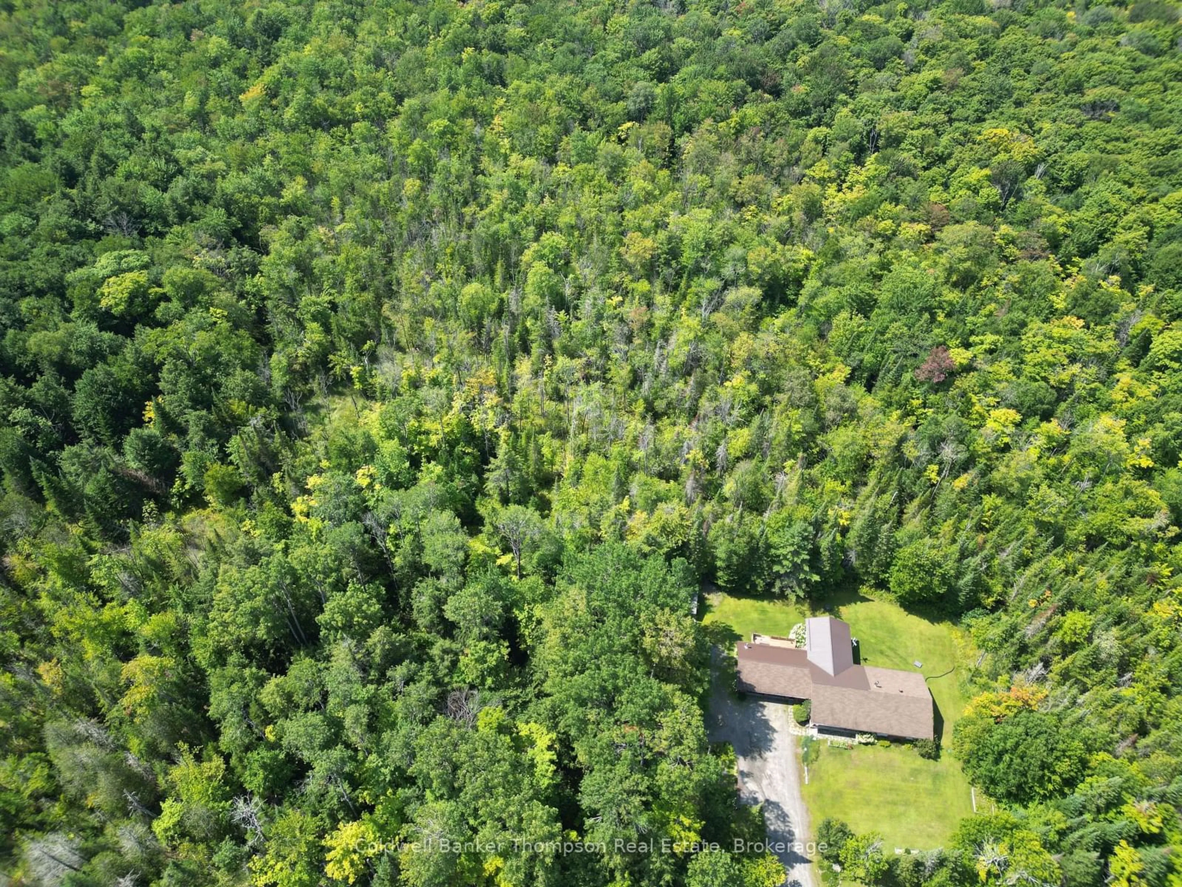 A pic from outside/outdoor area/front of a property/back of a property/a pic from drone, forest/trees view for 2551 Brunel Rd, Huntsville Ontario P1H 2J3