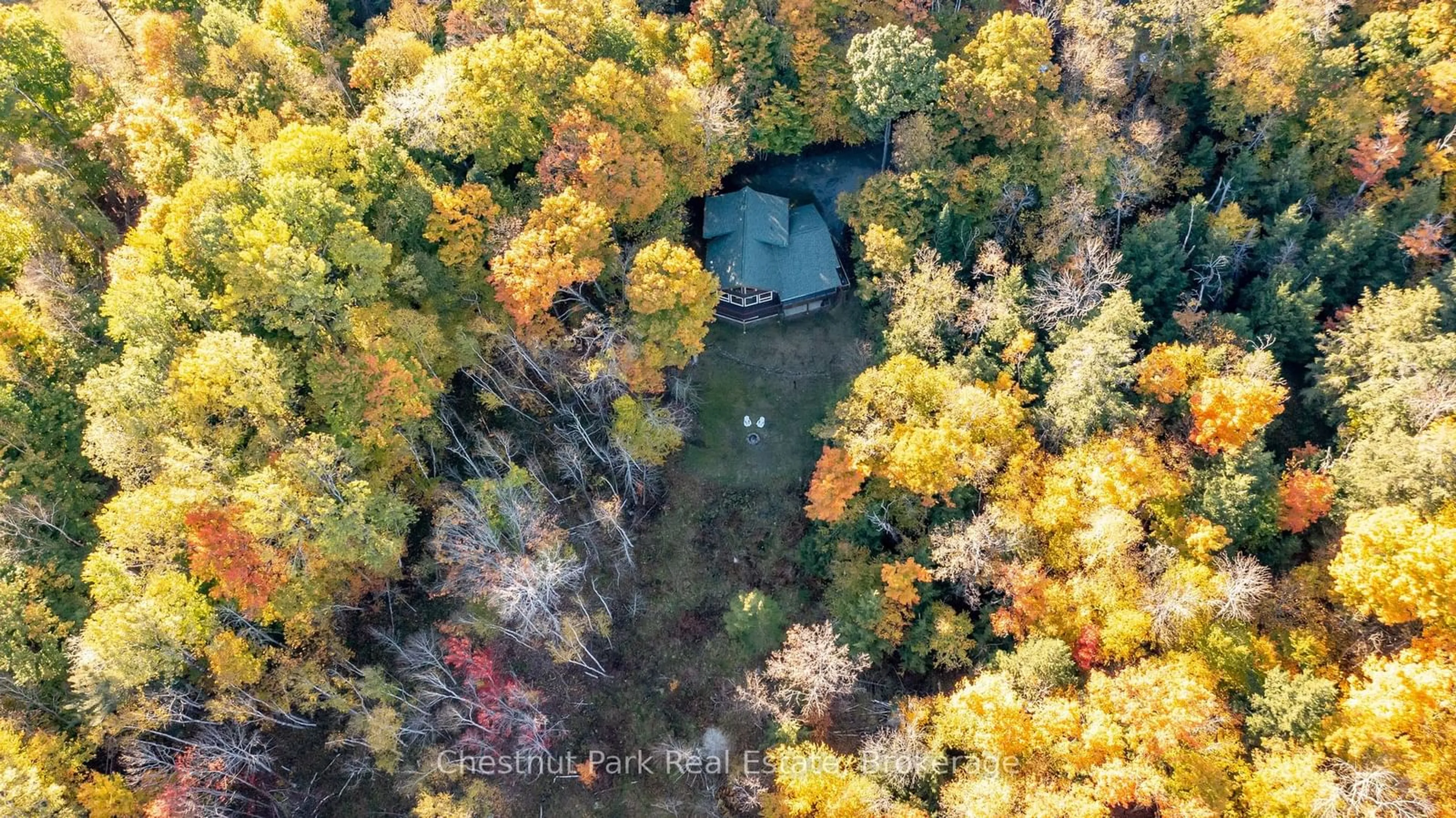 A pic from outside/outdoor area/front of a property/back of a property/a pic from drone, forest/trees view for 1033 Point Ideal Rd, Lake of Bays Ontario P0A 1H0