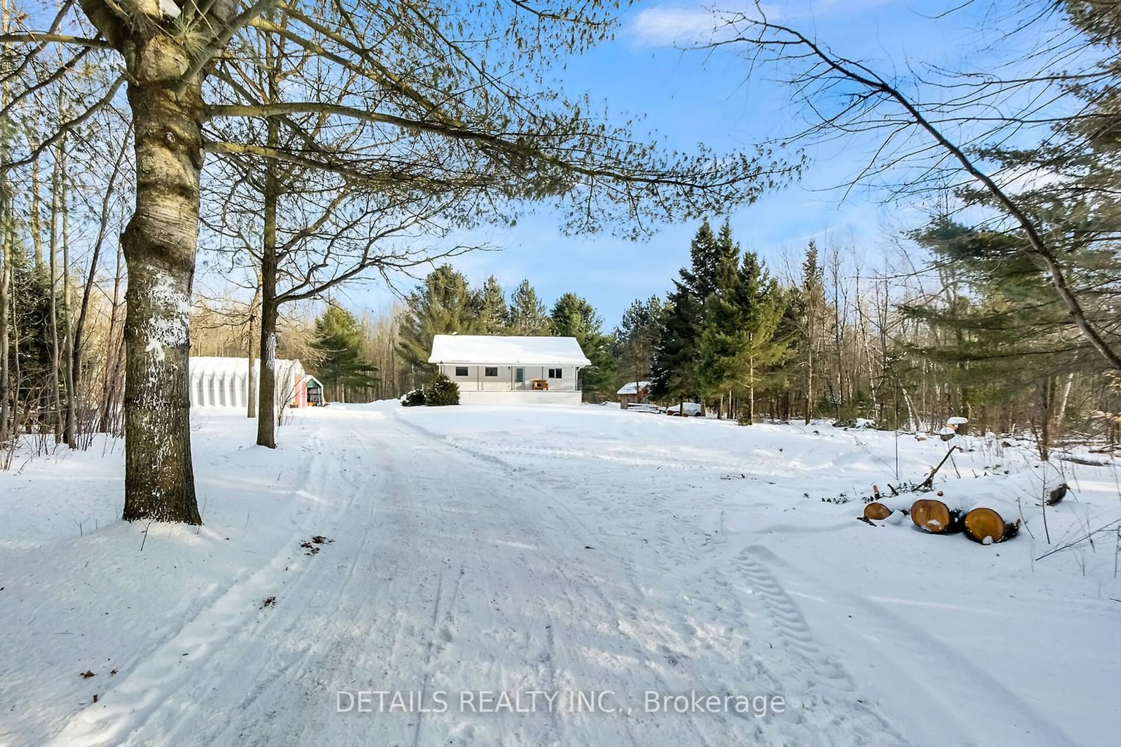 A pic from outside/outdoor area/front of a property/back of a property/a pic from drone, forest/trees view for 864 County Rd 19 Rd, Alfred and Plantagenet Ontario K0B 1C0