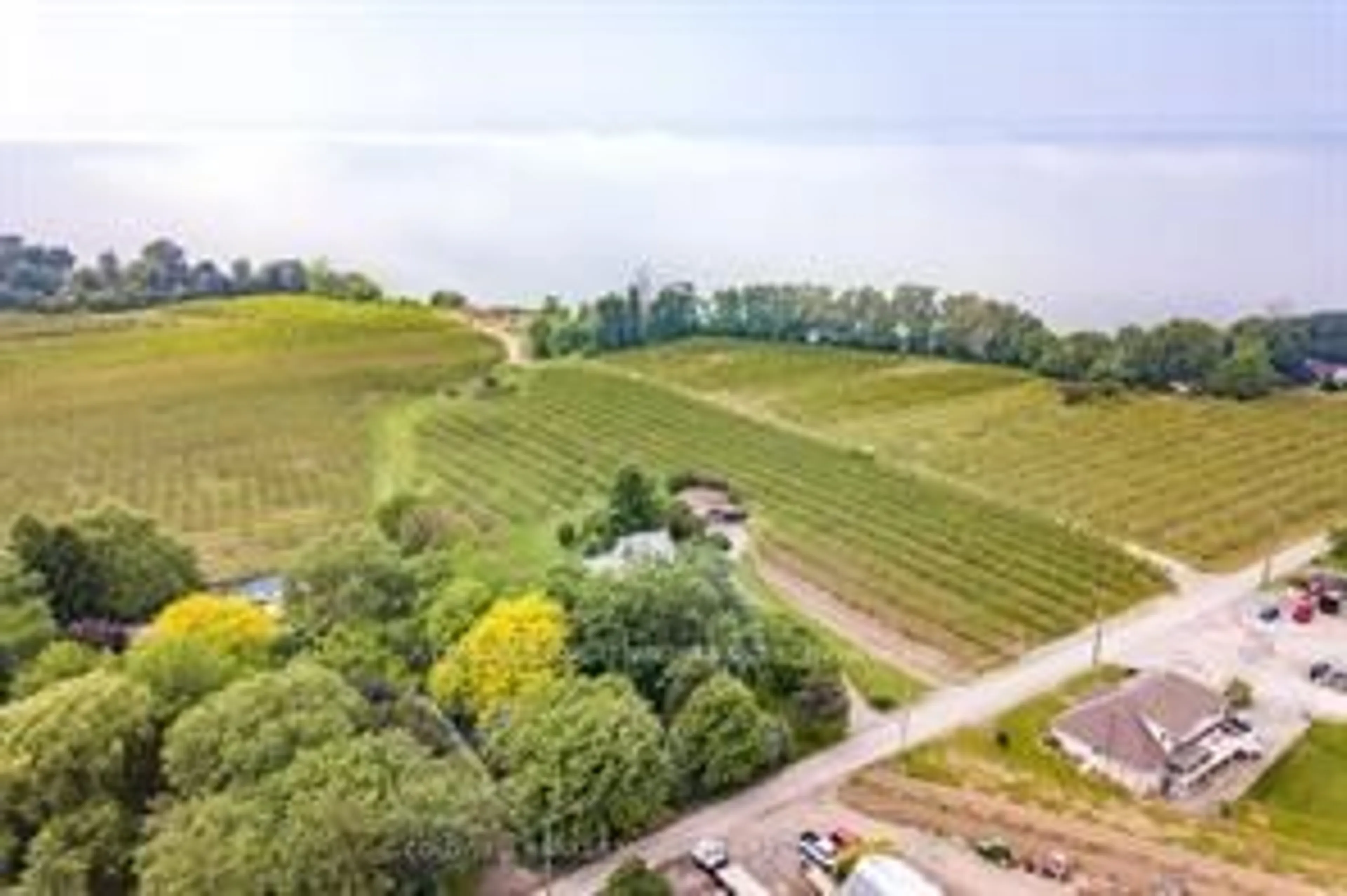 A pic from outside/outdoor area/front of a property/back of a property/a pic from drone, forest/trees view for 1496 Irvine Rd, Niagara-on-the-Lake Ontario L0S 1J0