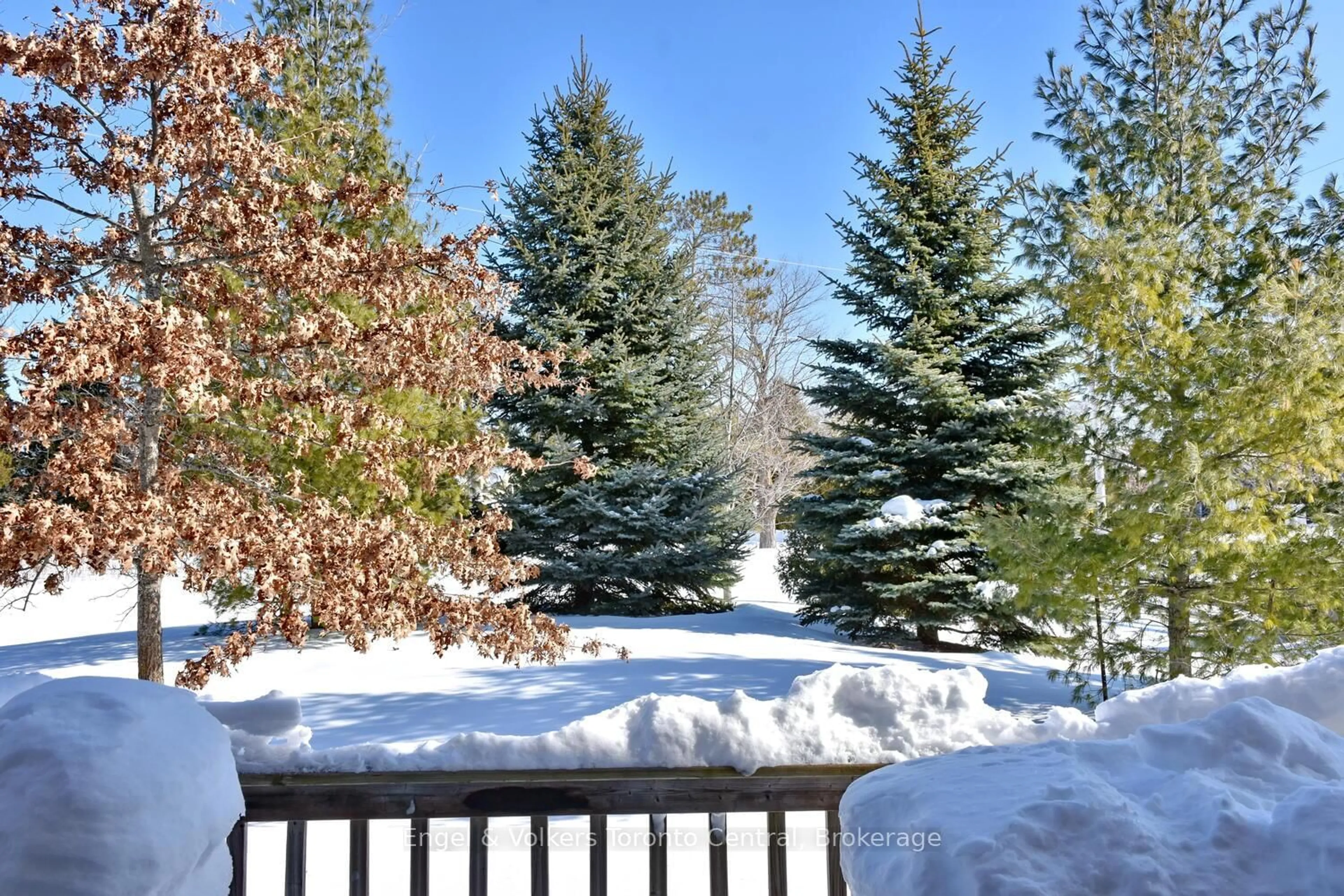 Patio, forest/trees view for 47 Meadowbrook Lane #36, Blue Mountains Ontario N0H 2P0