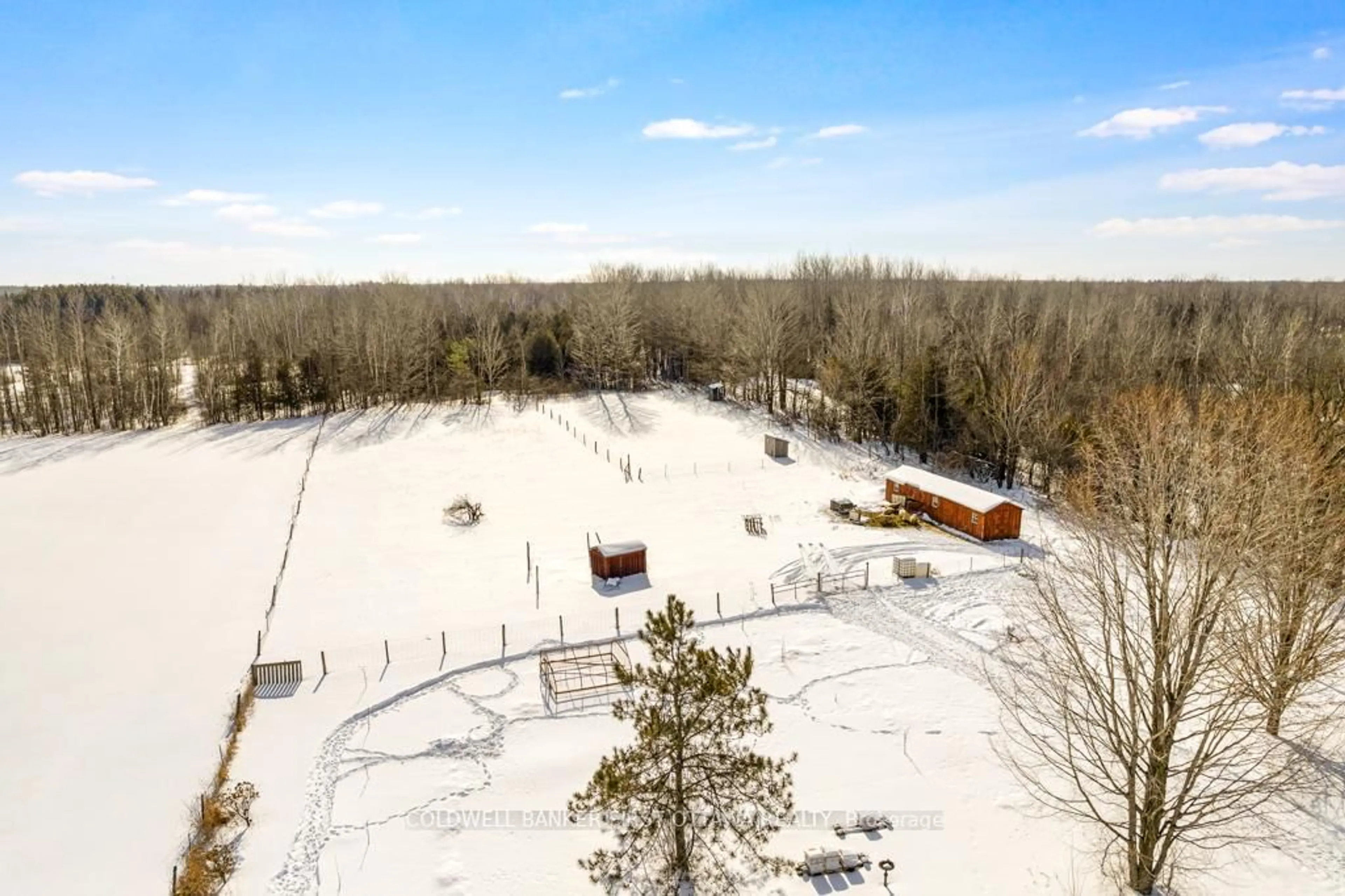 A pic from outside/outdoor area/front of a property/back of a property/a pic from drone, forest/trees view for 810 KENNEDY Rd, North Grenville Ontario K0G 1J0