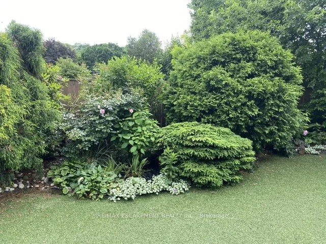 Additional property image - 234 Province St