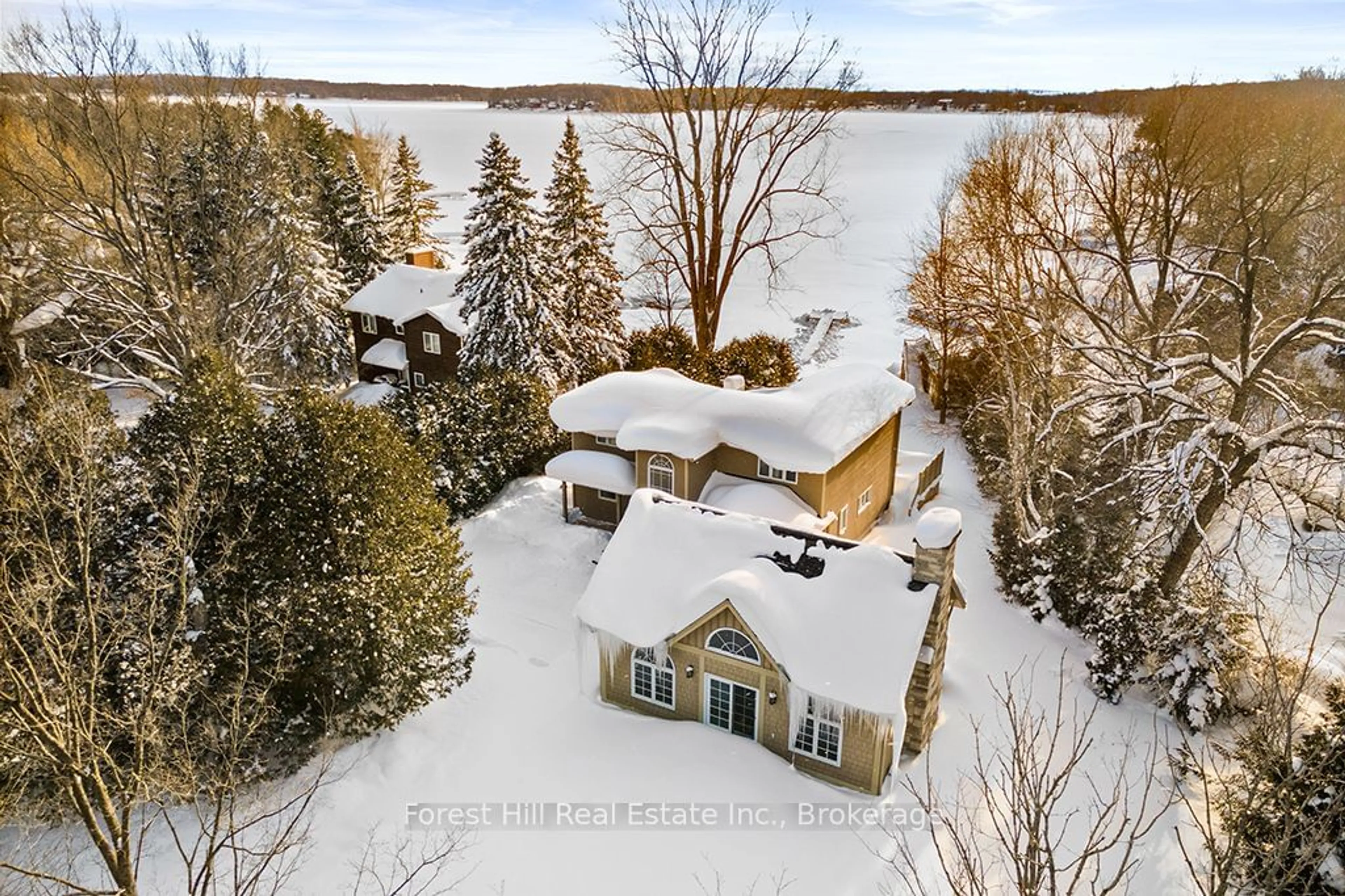 A pic from outside/outdoor area/front of a property/back of a property/a pic from drone, water/lake/river/ocean view for 222 Plantts Point Rd, Grey Highlands Ontario N0C 1E0