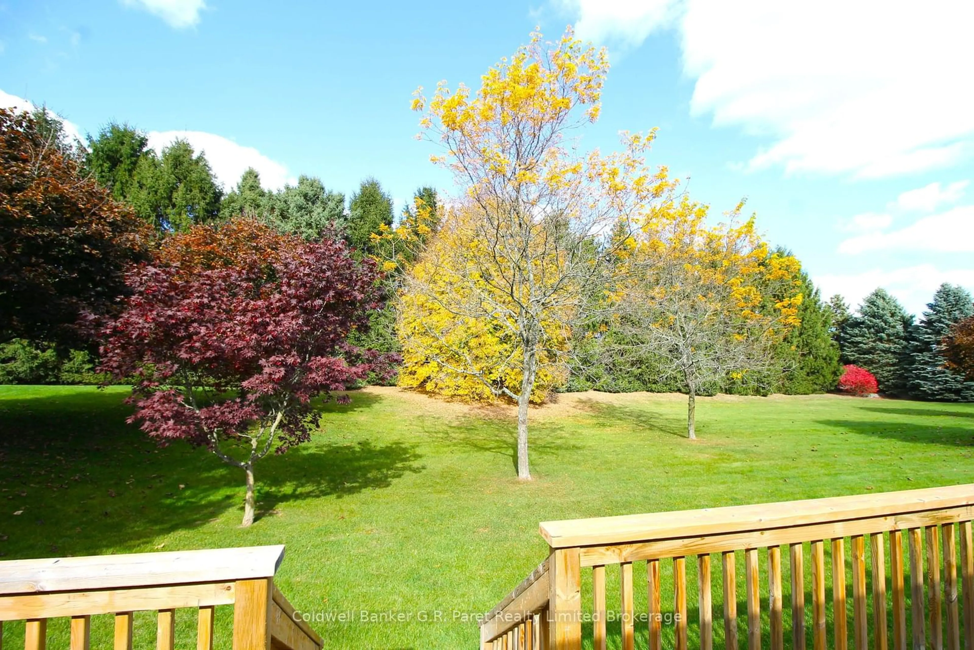 Patio, forest/trees view for 150 Oak St #5, Norfolk Ontario N3Y 5M5