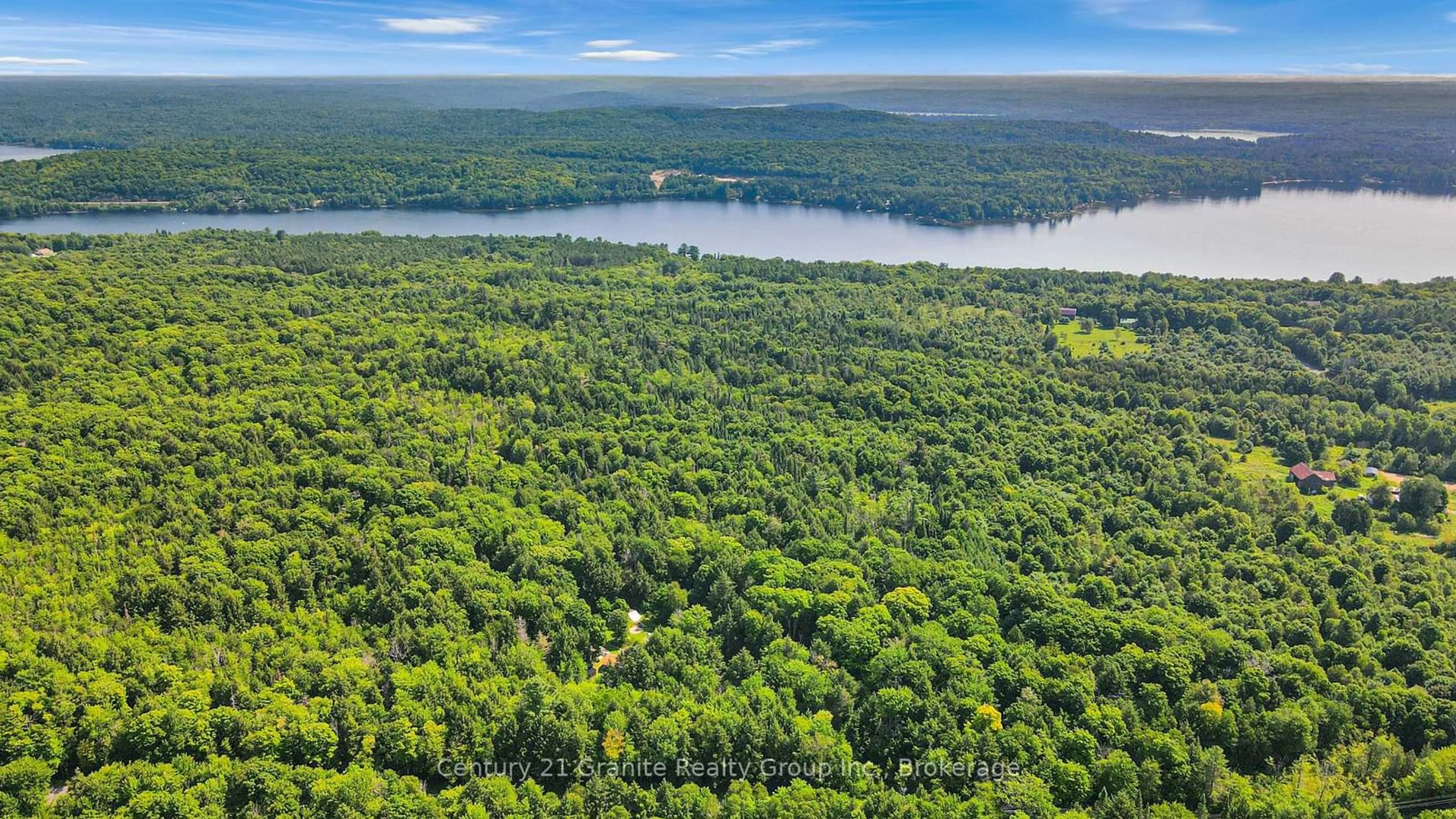 A pic from outside/outdoor area/front of a property/back of a property/a pic from drone, forest/trees view for 1842 Buckslide Rd, Algonquin Highlands Ontario K0M 1J1