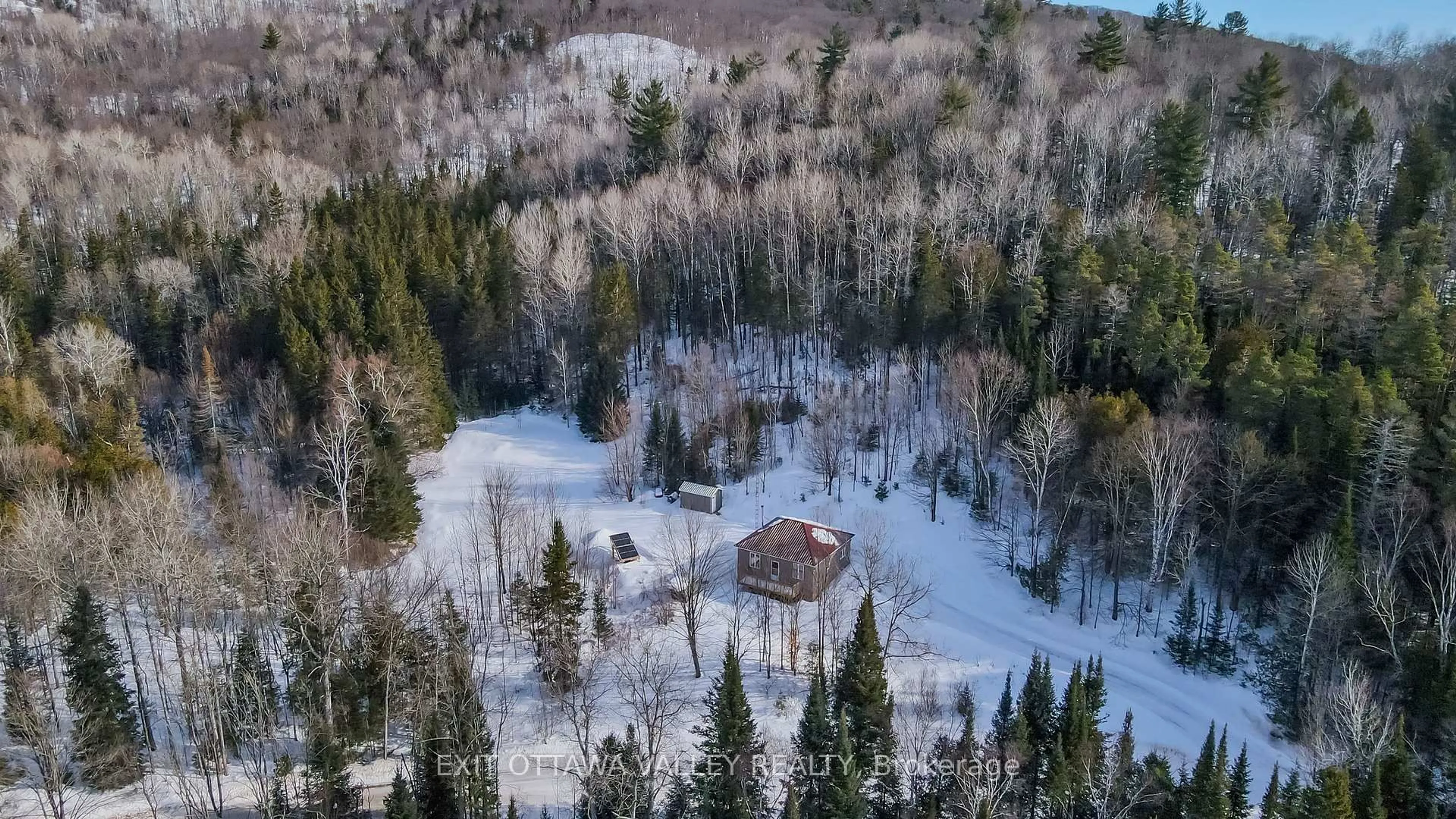 A pic from outside/outdoor area/front of a property/back of a property/a pic from drone, forest/trees view for 117 Craigmont Rd, Brudenell, Lyndoch and Raglan Ontario K0J 1L0