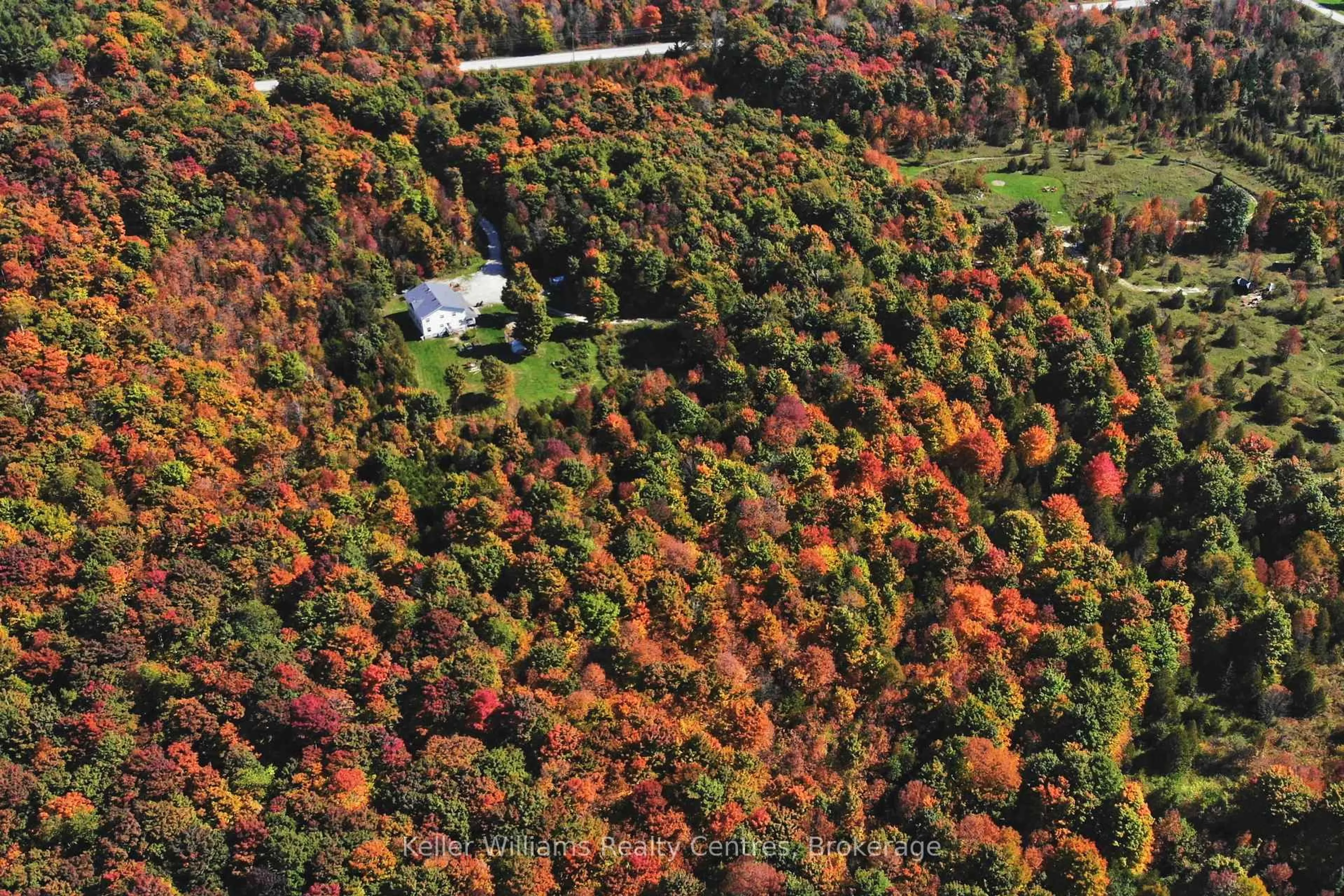 A pic from outside/outdoor area/front of a property/back of a property/a pic from drone, forest/trees view for 179482 Grey Road 17, Georgian Bluffs Ontario N0H 2T0