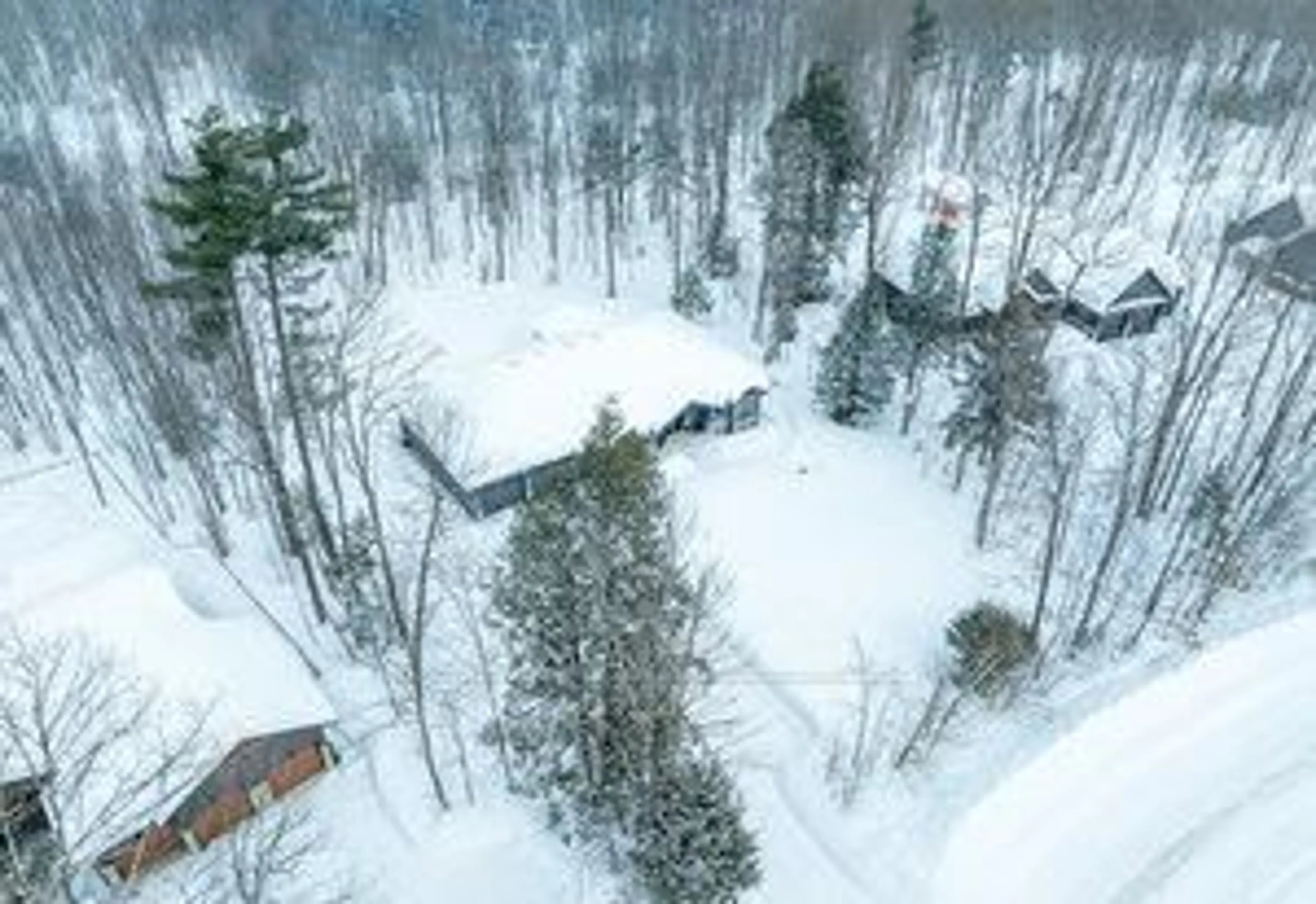 A pic from outside/outdoor area/front of a property/back of a property/a pic from drone, forest/trees view for 1068 Xavier St, Gravenhurst Ontario P0E 1G0