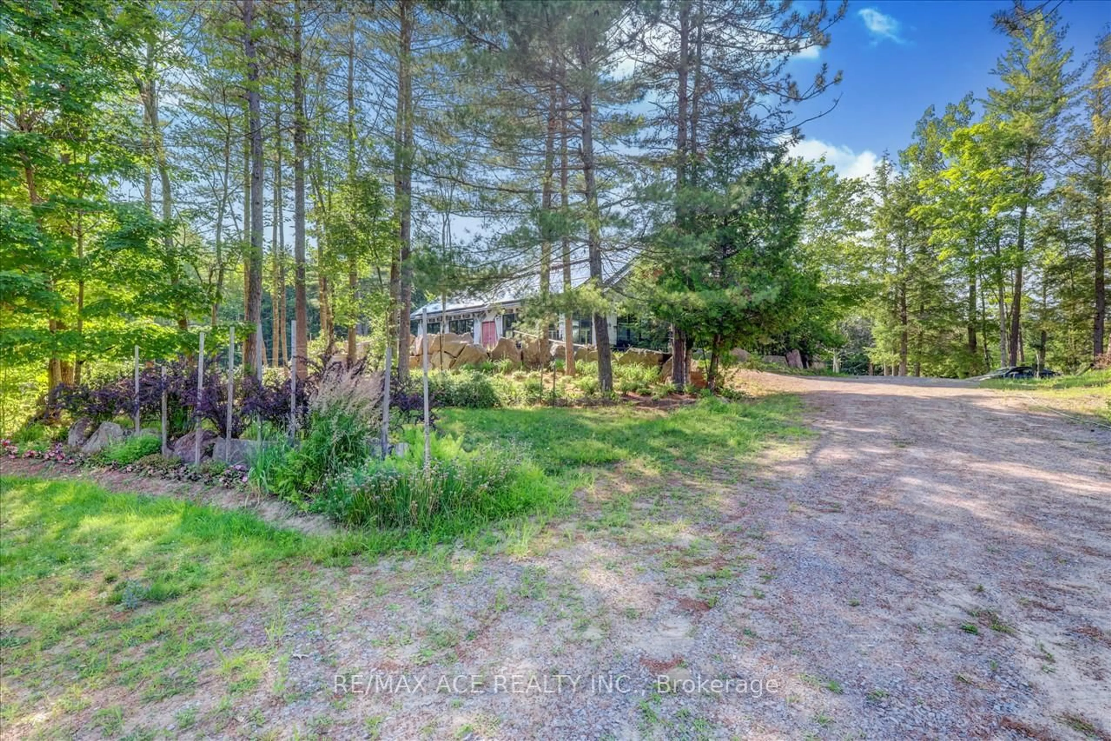 A pic from outside/outdoor area/front of a property/back of a property/a pic from drone, forest/trees view for 111 Gazelle Tr, North Kawartha Ontario K0L 1A0