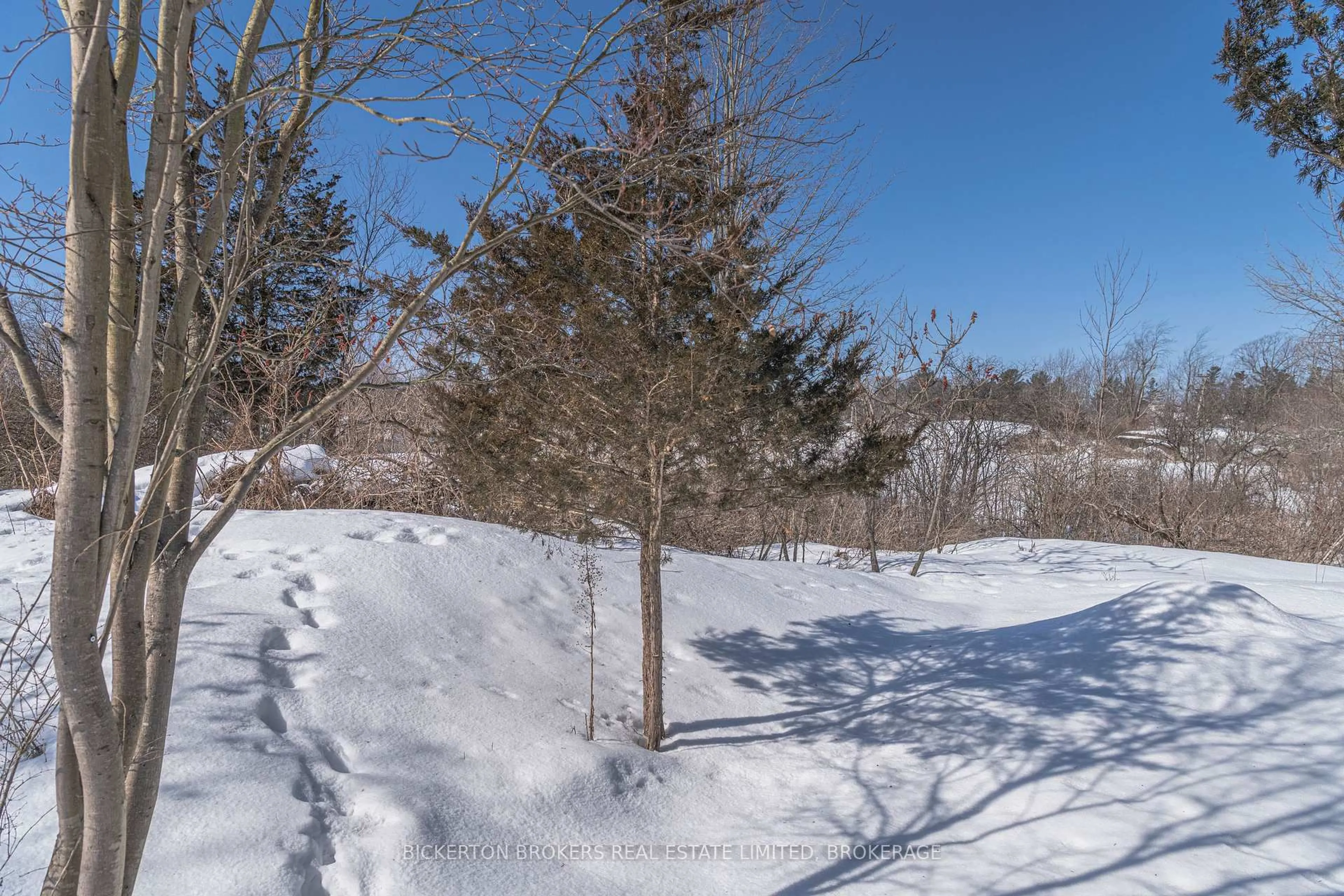 A pic from outside/outdoor area/front of a property/back of a property/a pic from drone, forest/trees view for 110 Birch St, Gananoque Ontario K7G 2T4