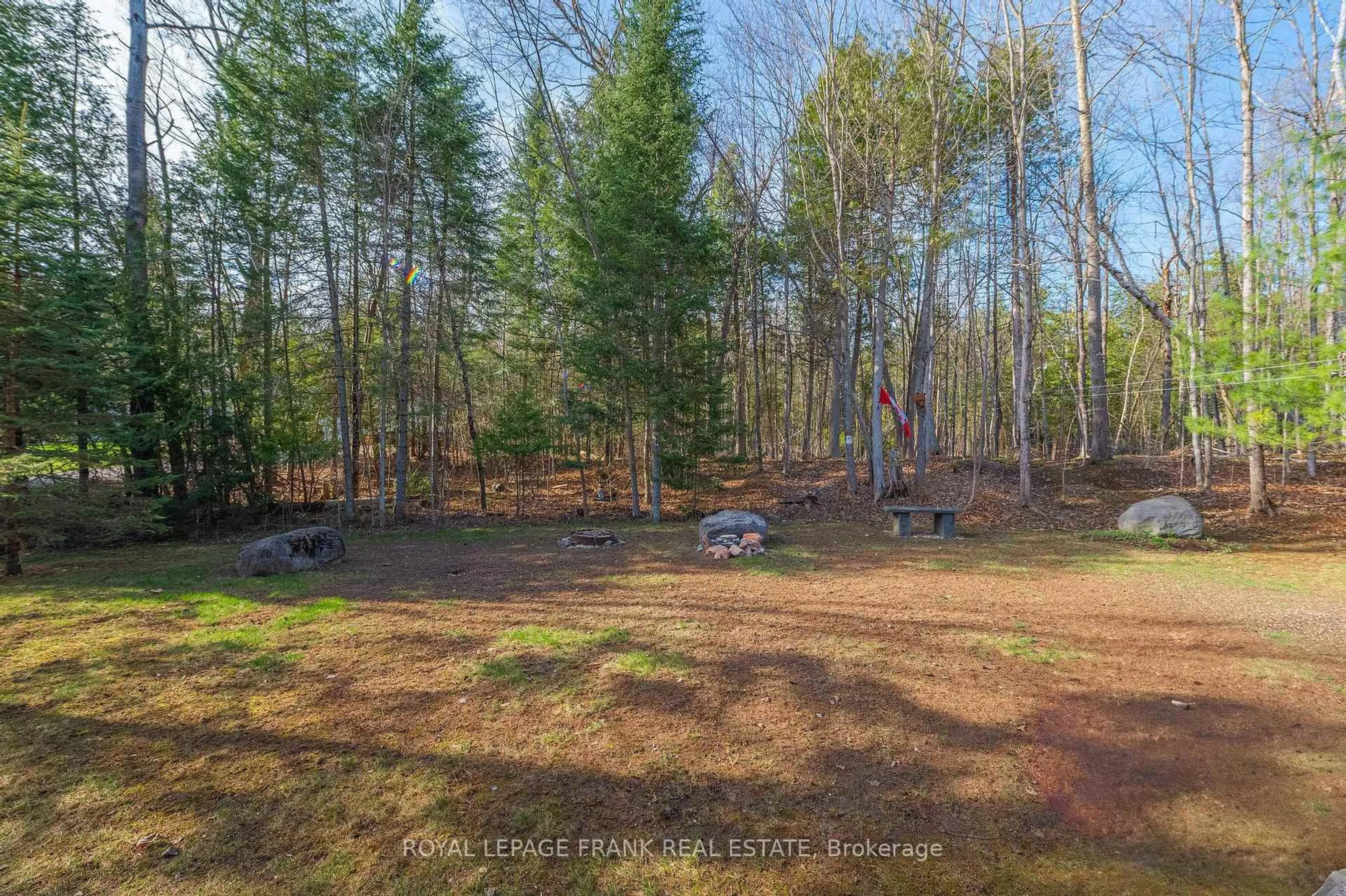 A pic from outside/outdoor area/front of a property/back of a property/a pic from drone, forest/trees view for 38 Sumcot Dr, Trent Lakes Ontario K0L 1J0
