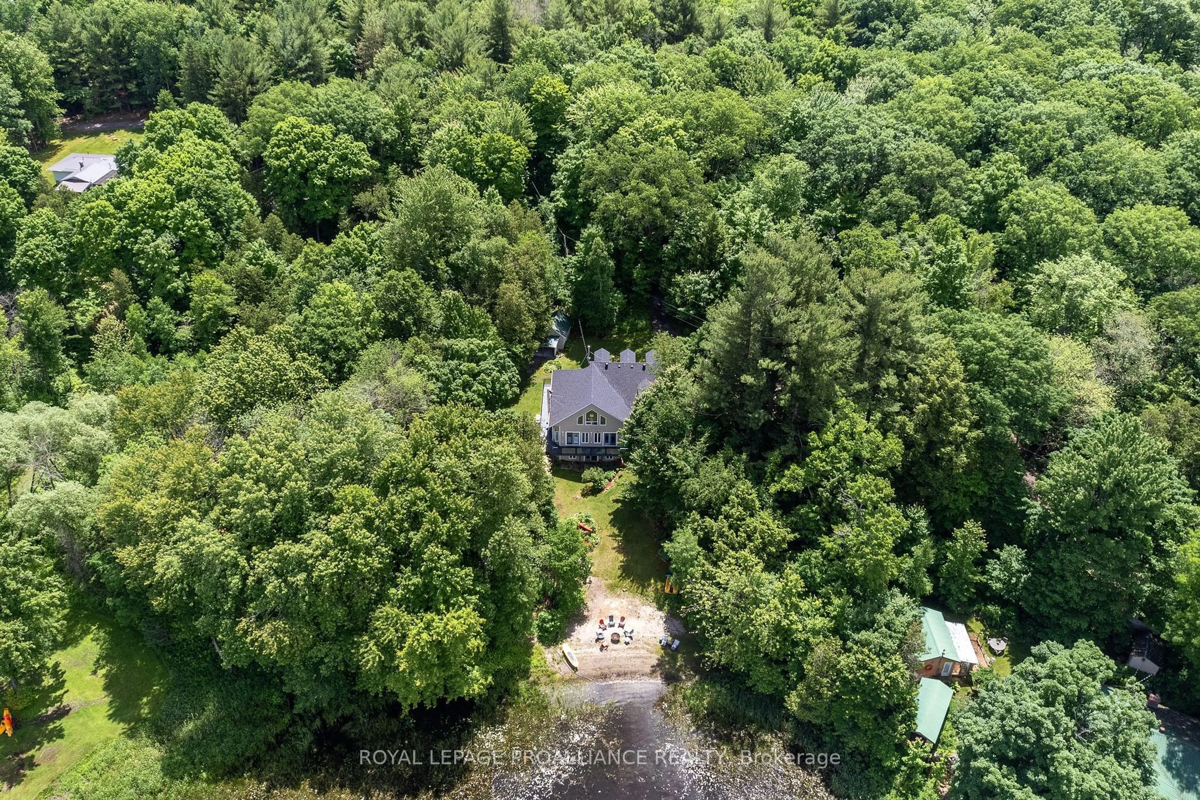 A pic from outside/outdoor area/front of a property/back of a property/a pic from drone, forest/trees view for 17B Hughes Lane, Tweed Ontario K0K 3J0