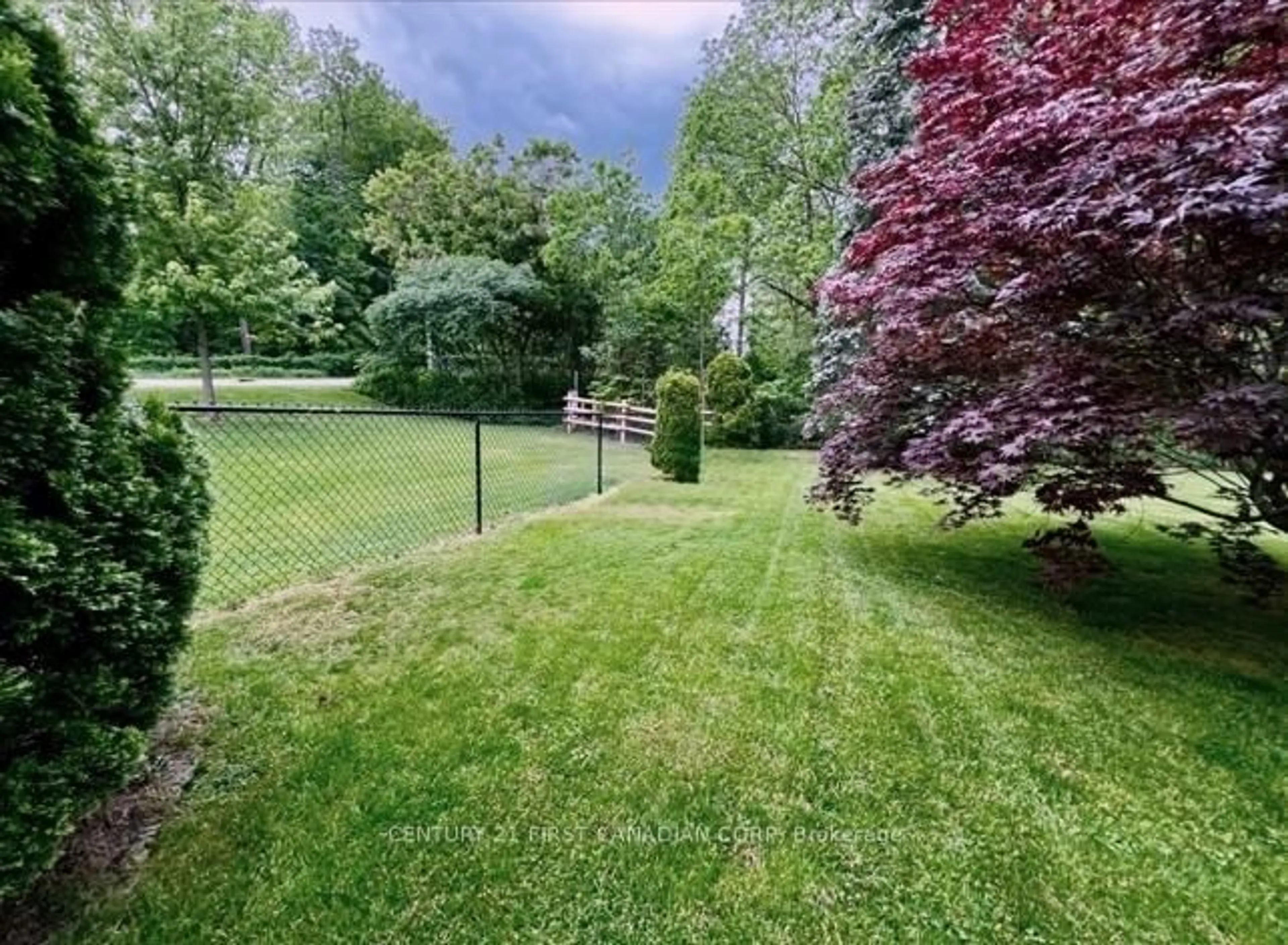 A pic from outside/outdoor area/front of a property/back of a property/a pic from drone, forest/trees view for 212 Timber Dr, London South Ontario N6K 4B6