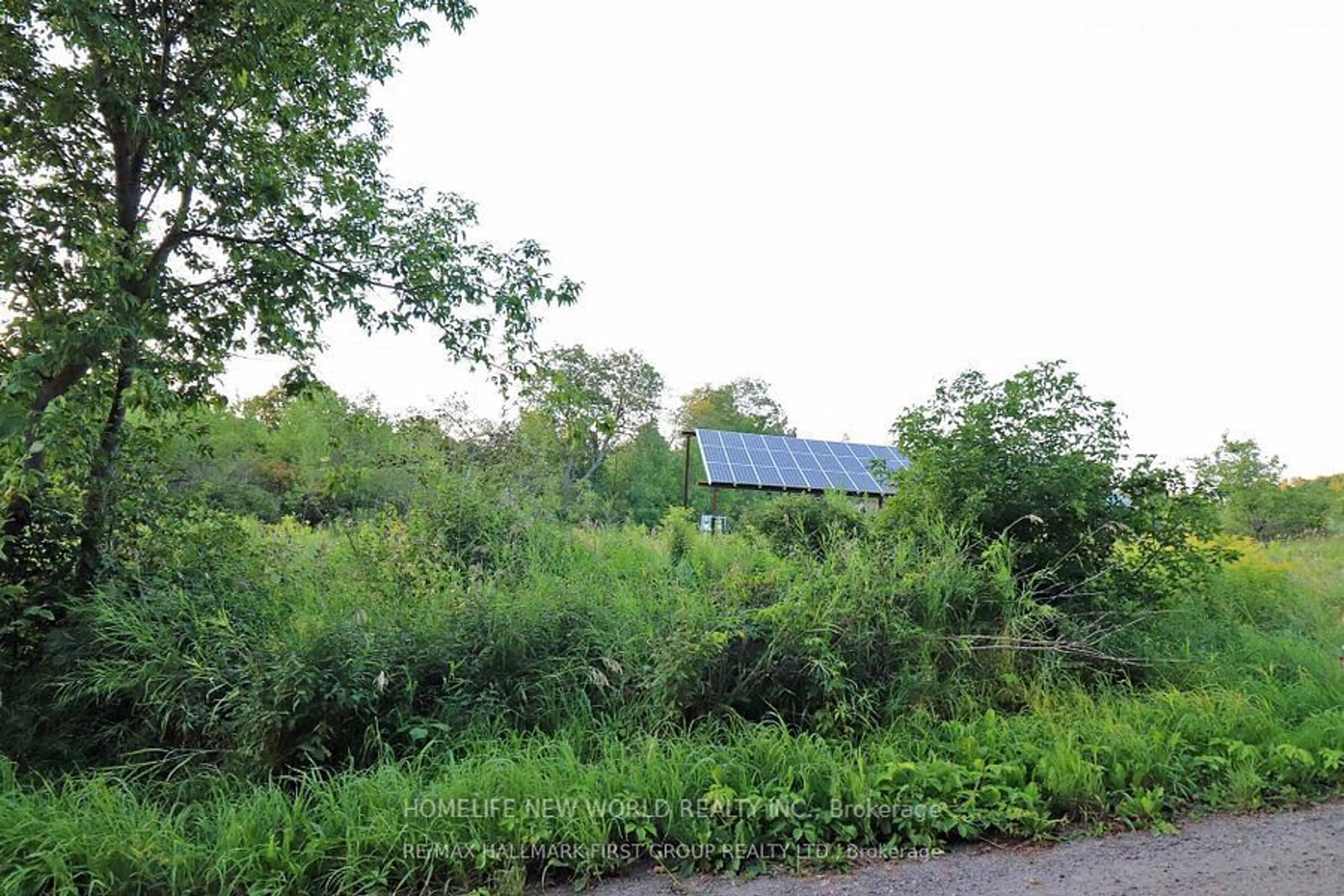 Shed for 726 Otter creek Rd, Tweed Ontario K0K 3J0