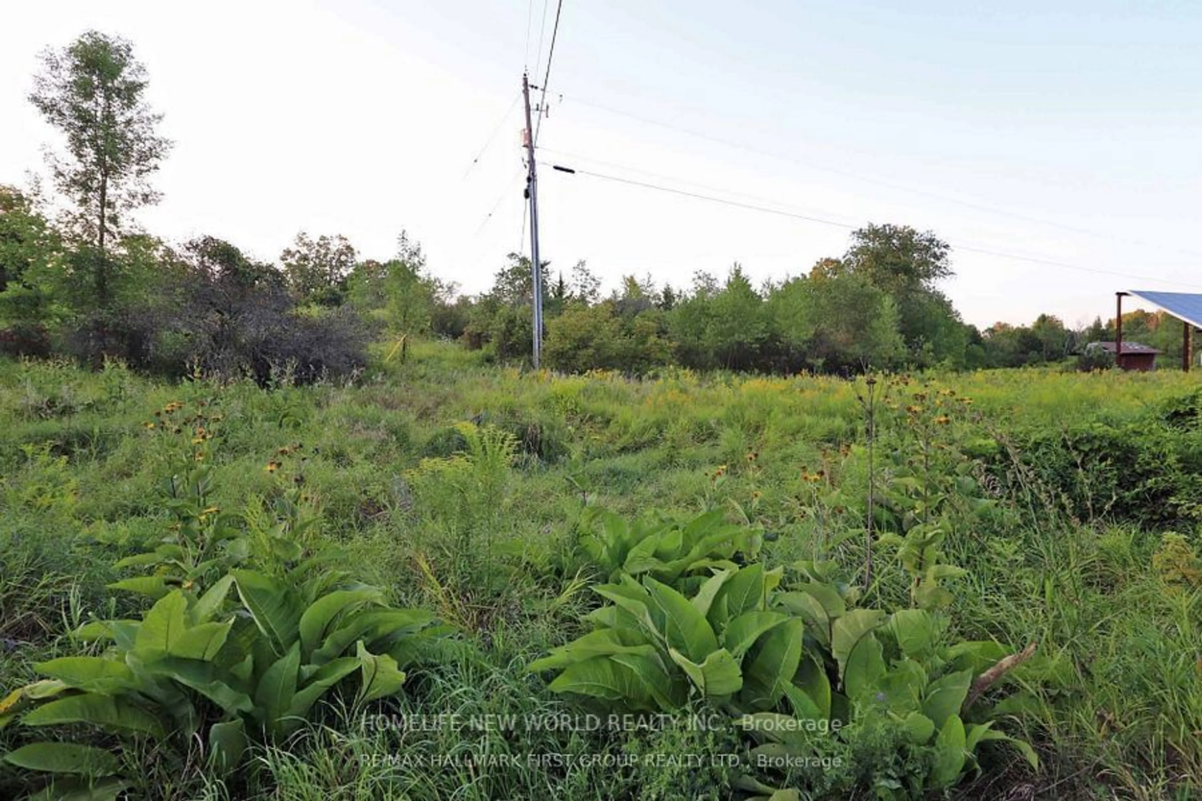 Unknown for 726 Otter creek Rd, Tweed Ontario K0K 3J0