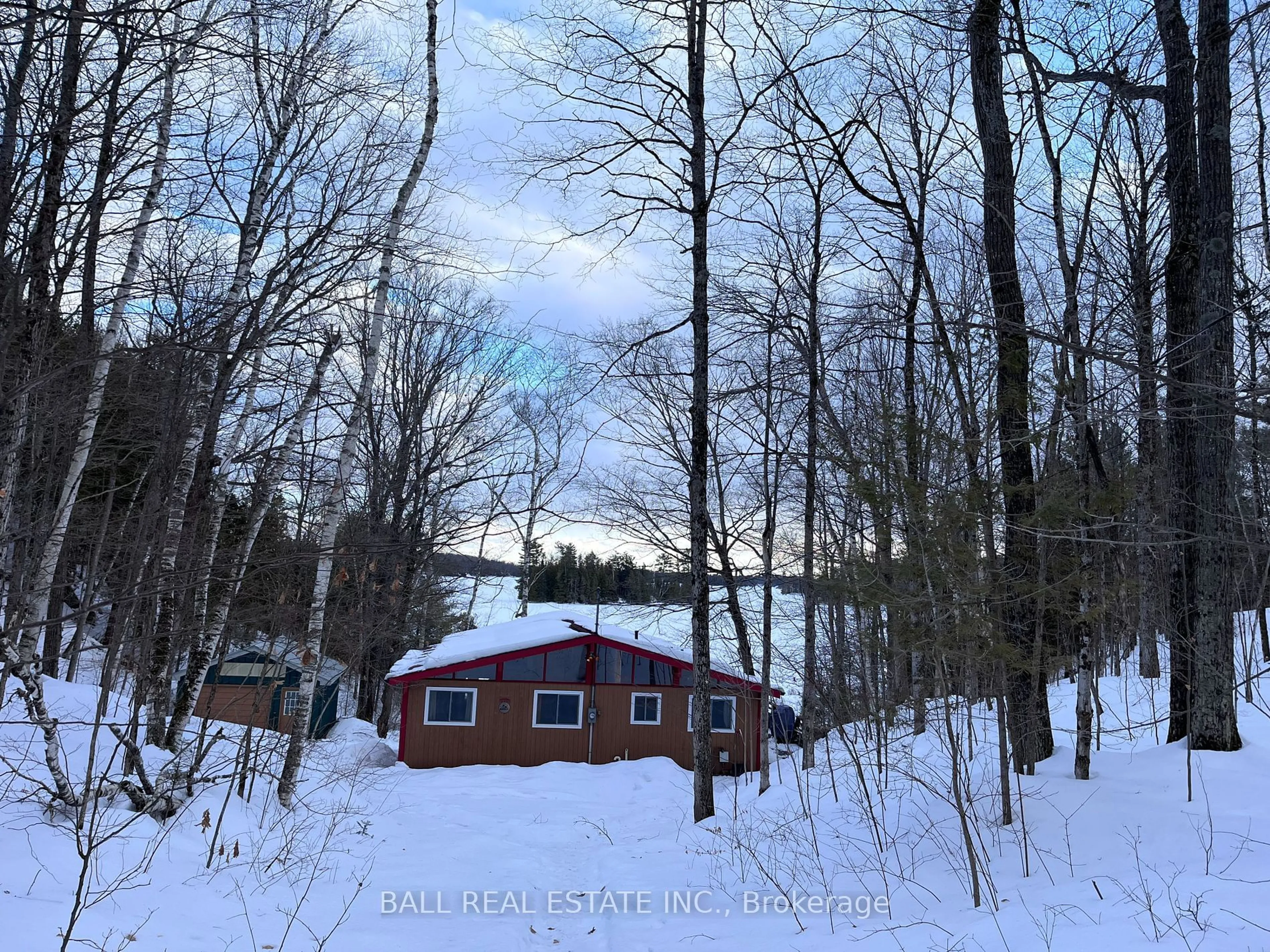 A pic from outside/outdoor area/front of a property/back of a property/a pic from drone, forest/trees view for 349 Fire Route 59, Havelock-Belmont-Methuen Ontario K0L 1Z0