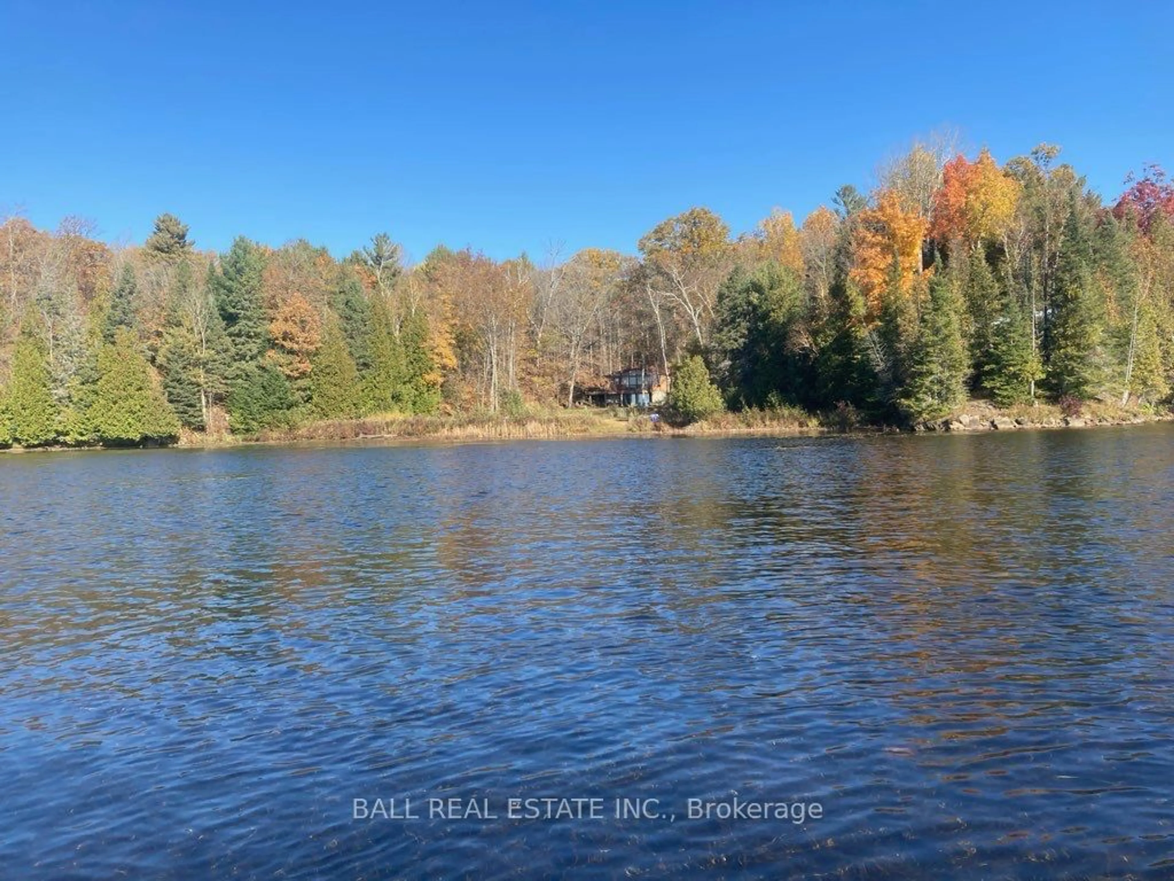 A pic from outside/outdoor area/front of a property/back of a property/a pic from drone, water/lake/river/ocean view for 349 Fire Route 59, Havelock-Belmont-Methuen Ontario K0L 1Z0