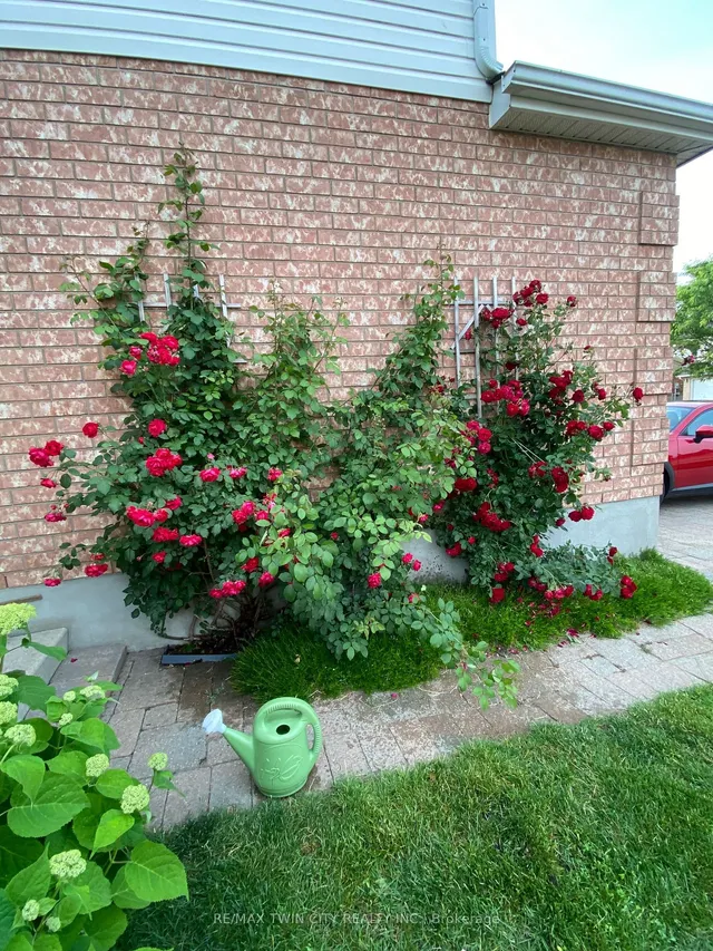 Additional property image - 111 Cotton Grass St
