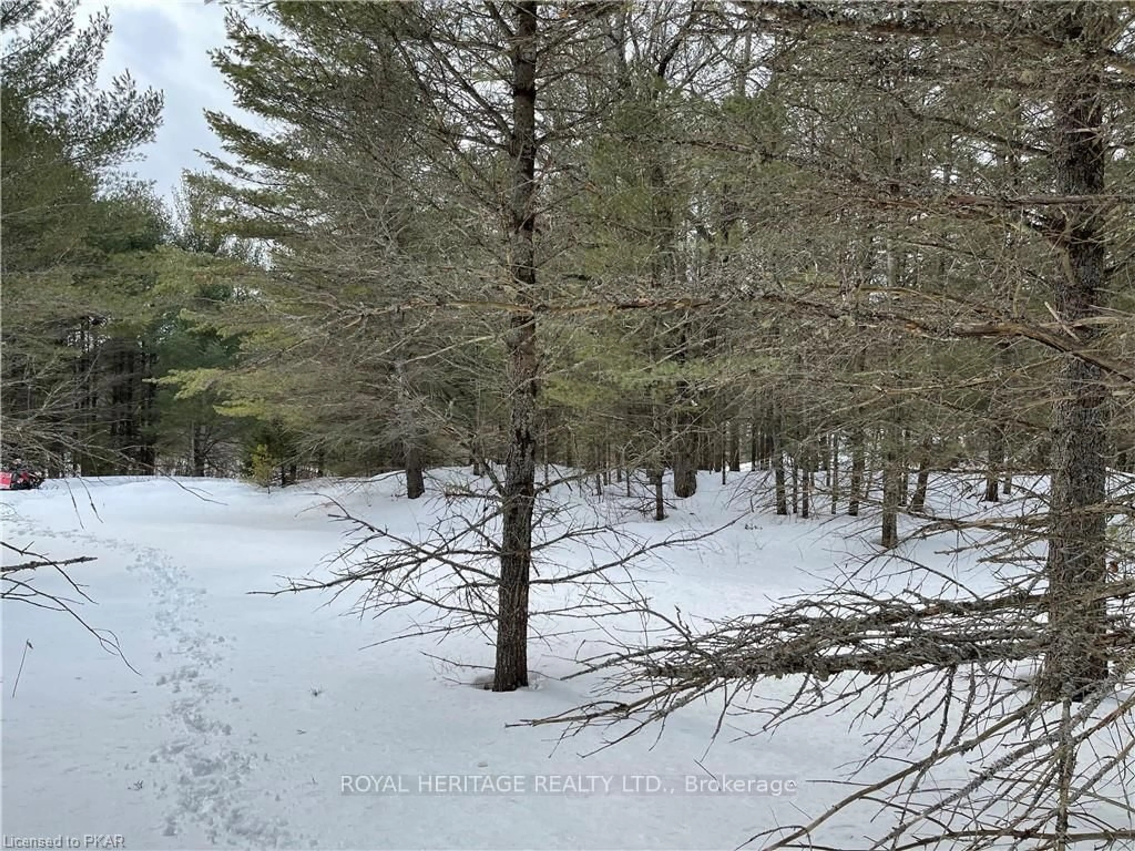 Blurry image for N/A Hadlington Rd #Lot 3, Highlands East Ontario K0L 2Y0