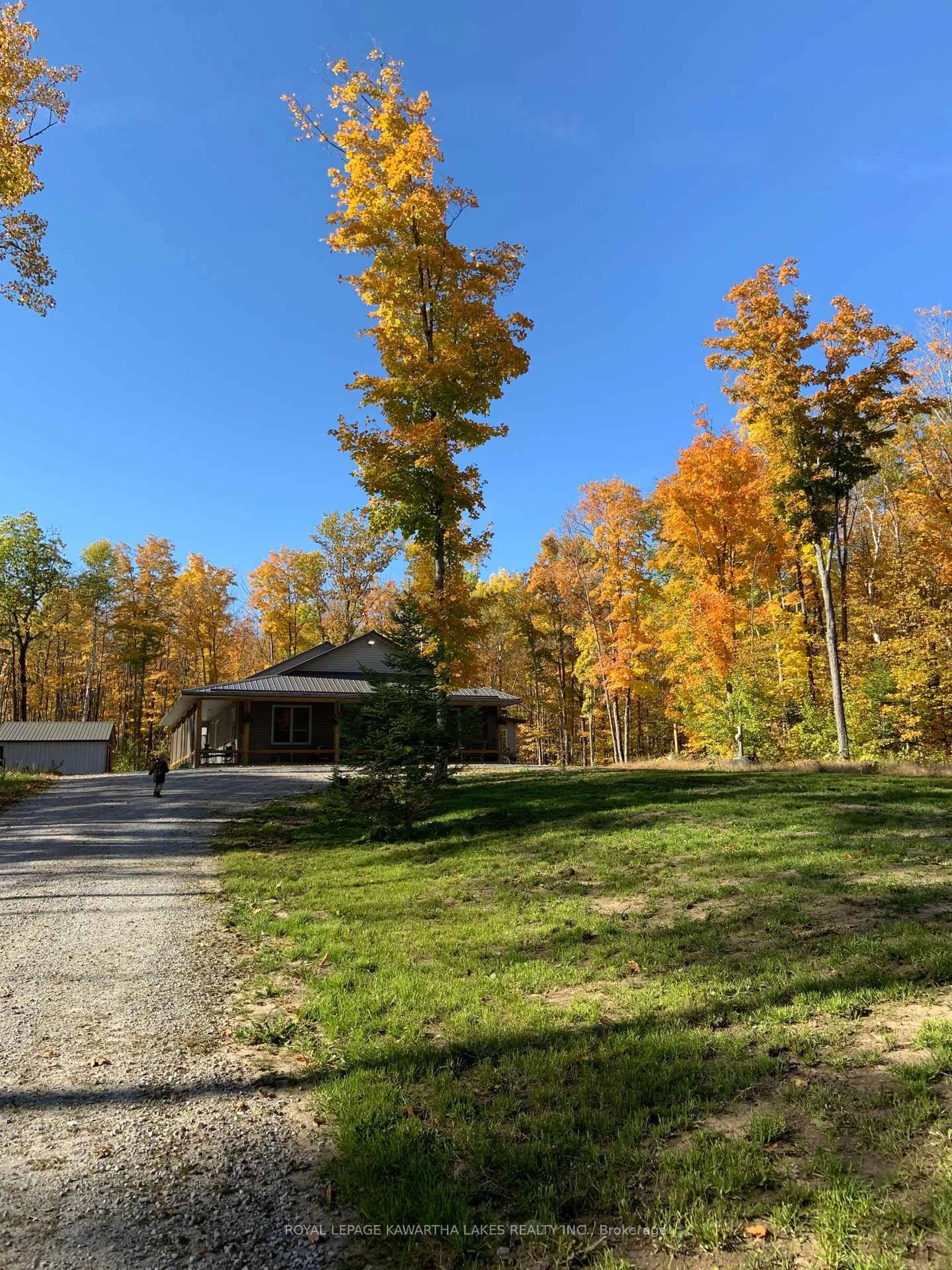 A pic from outside/outdoor area/front of a property/back of a property/a pic from drone, forest/trees view for 44 Moon Line Rd, Trent Lakes Ontario K0M 1A0