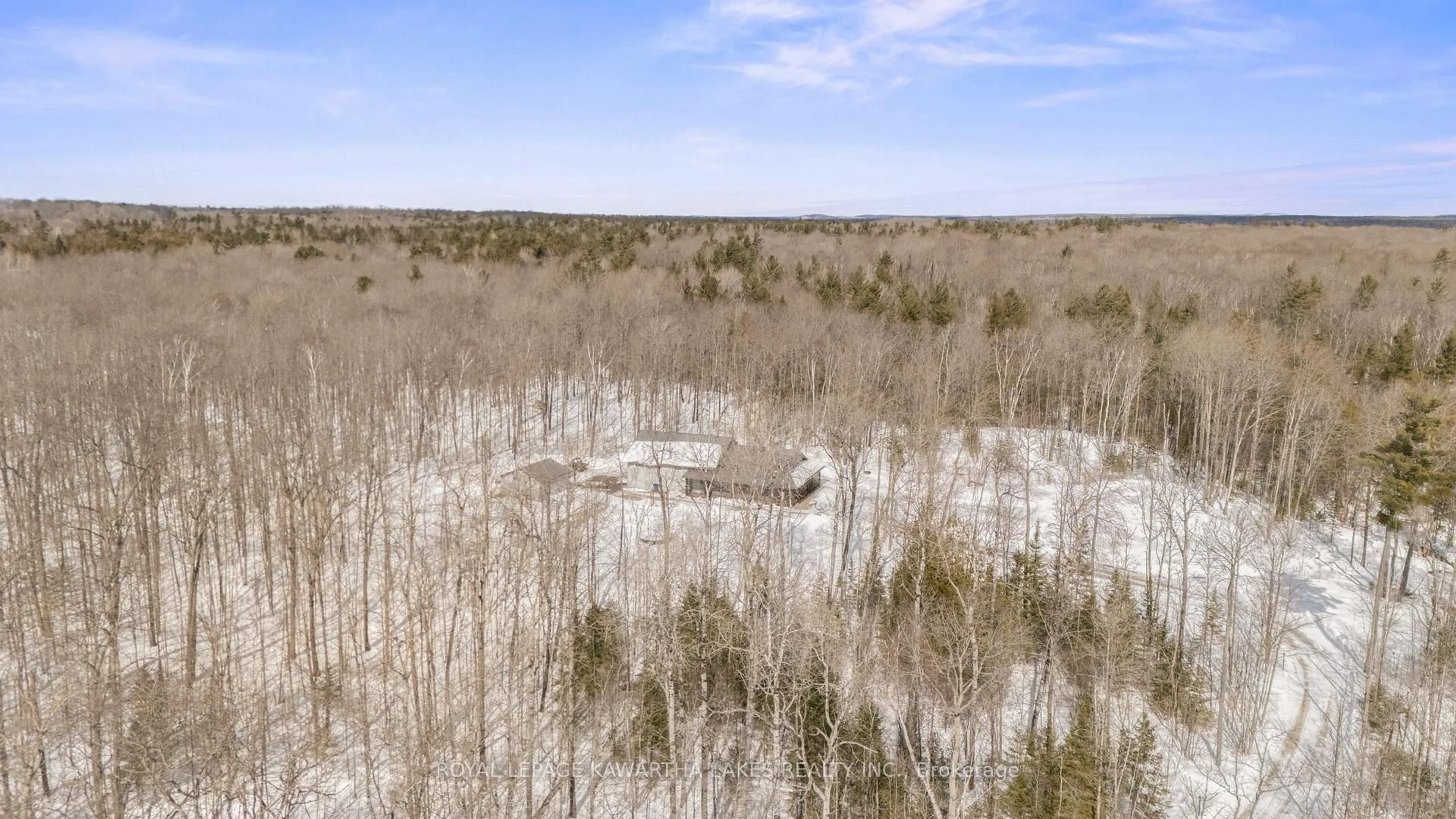 A pic from outside/outdoor area/front of a property/back of a property/a pic from drone, forest/trees view for 44 Moon Line Rd, Trent Lakes Ontario K0M 1A0