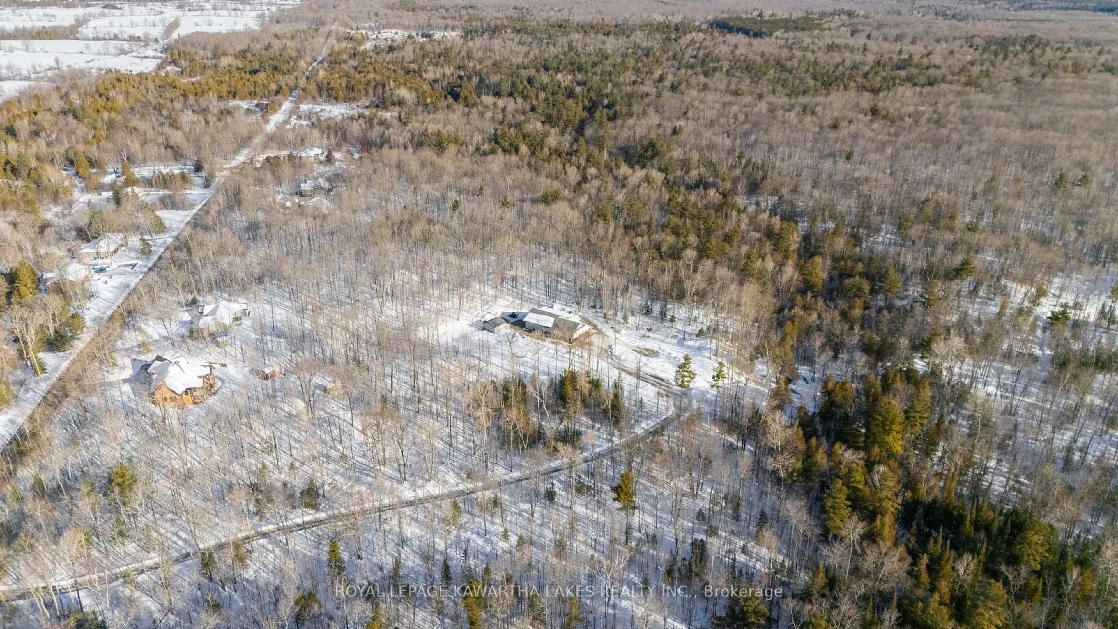 A pic from outside/outdoor area/front of a property/back of a property/a pic from drone, forest/trees view for 44 Moon Line Rd, Trent Lakes Ontario K0M 1A0