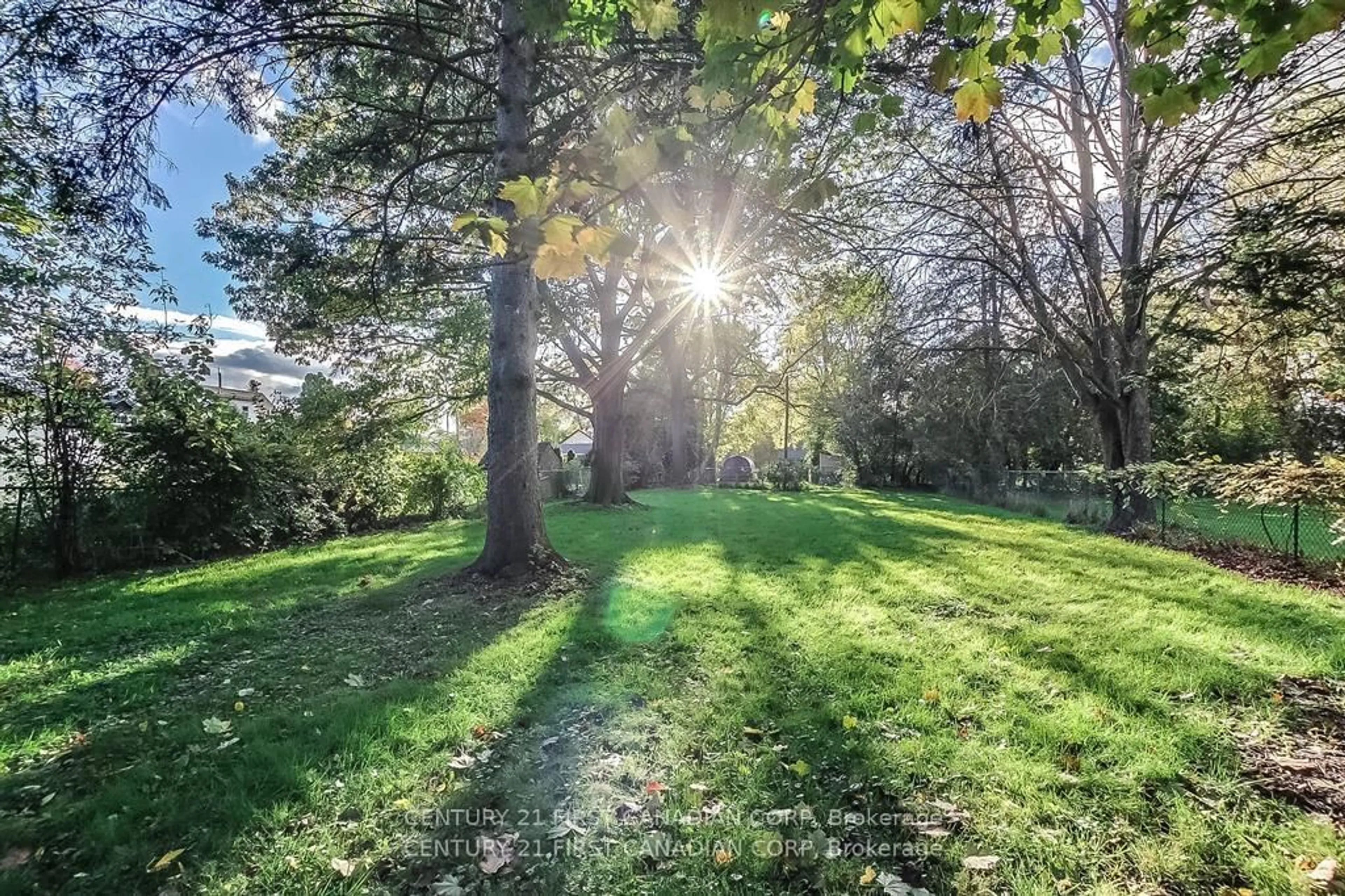 A pic from outside/outdoor area/front of a property/back of a property/a pic from drone, forest/trees view for 347 Thiel St, London Ontario N5W 4P7